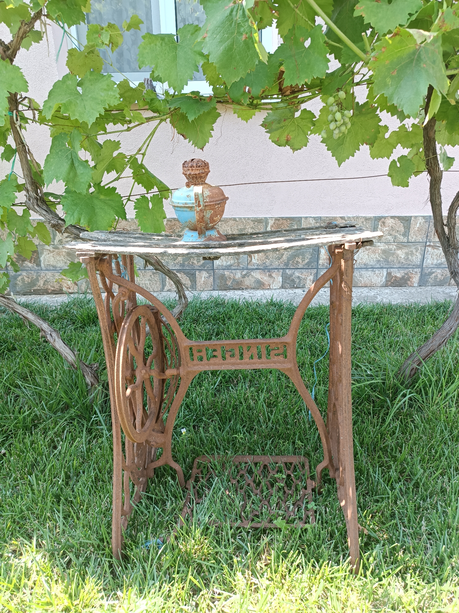 An antique sewing machine base, rusted and repurposed as a table stand, sits outdoors on a grassy lawn in Coșnița, Moldova. The base, made of cast iron, features ornate scrollwork and the partially visible name "Singer" on its side. A rough wooden plank serves as the tabletop, supporting a small, rusted decorative object with blue accents. The table is positioned under a vine-covered trellis, with green grape clusters visible on the vine. Behind the table, a house with a stone-patterned lower wall and a pale pink upper wall is visible, with a window reflecting the sky. The scene is bathed in sunlight, with the grass in the foreground brightly lit.