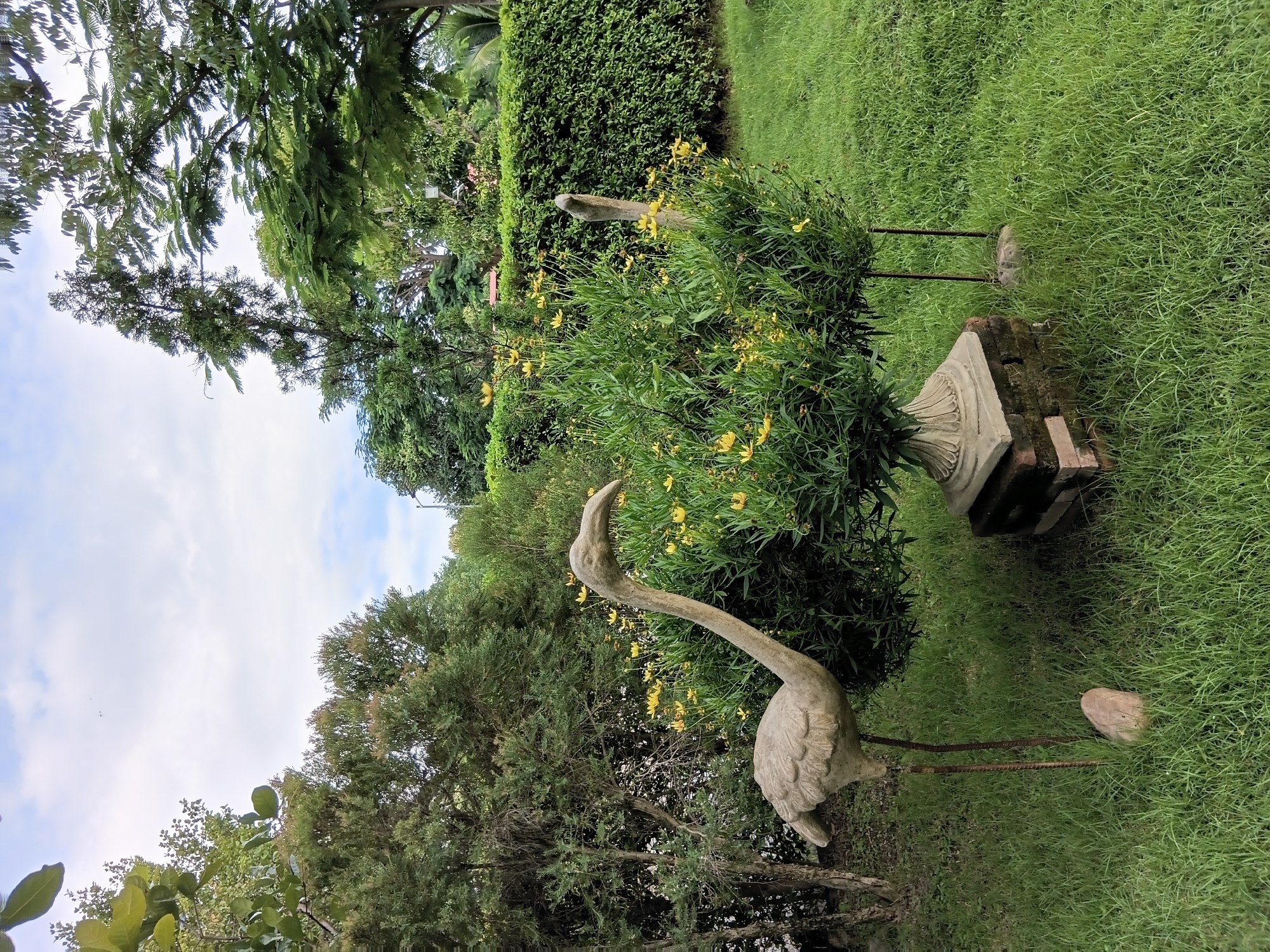 The image shows a garden scene in Ban Tong, Thailand. In the foreground, there are two concrete statues of flamingos. The flamingo on the left is fully visible, with its long neck curved. The flamingo on the right is partially visible behind a bush. The bush is in a decorative planter and is covered in small yellow flowers. The garden has a lush green lawn and is surrounded by trees and a trimmed hedge. The sky is partly cloudy.