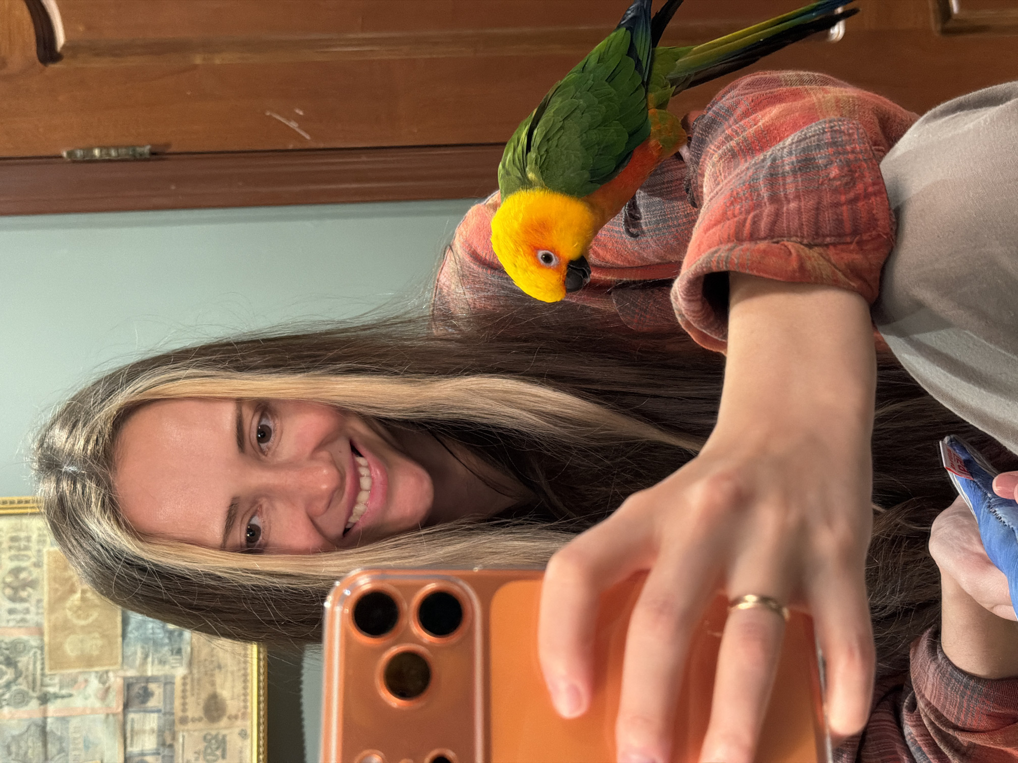 The image, originally rotated ninety degrees counter-clockwise, depicts a selfie taken by a smiling young woman indoors in Khimki, Russia. The woman, with long dark hair featuring blonde highlights, smiles broadly, looking directly at the camera. She wears a plaid shirt in shades of red, orange, and grey, and a lighter-colored top. A gold ring is visible on her left ring finger. She holds a smartphone with an orange case in her left hand to capture the moment.
Perched on her right shoulder is a vibrant parrot, likely a Sun Conure, characterized by its bright yellow head, orange chest, and green wings and tail. The parrot is looking downwards and slightly towards the camera, appearing calm. The woman's right hand holds a blue object with indistinct white and red markings.
The background features a domestic setting. Behind her head to the left, a framed artwork showcasing what appears to be old documents or stamps is visible. Above the woman and the parrot, a wooden wall or piece of furniture, possibly a cabinet or door, stands against a light blue-green wall section. The scene conveys a happy, casual interaction between the woman and her pet. No discernible text is legible within the image.