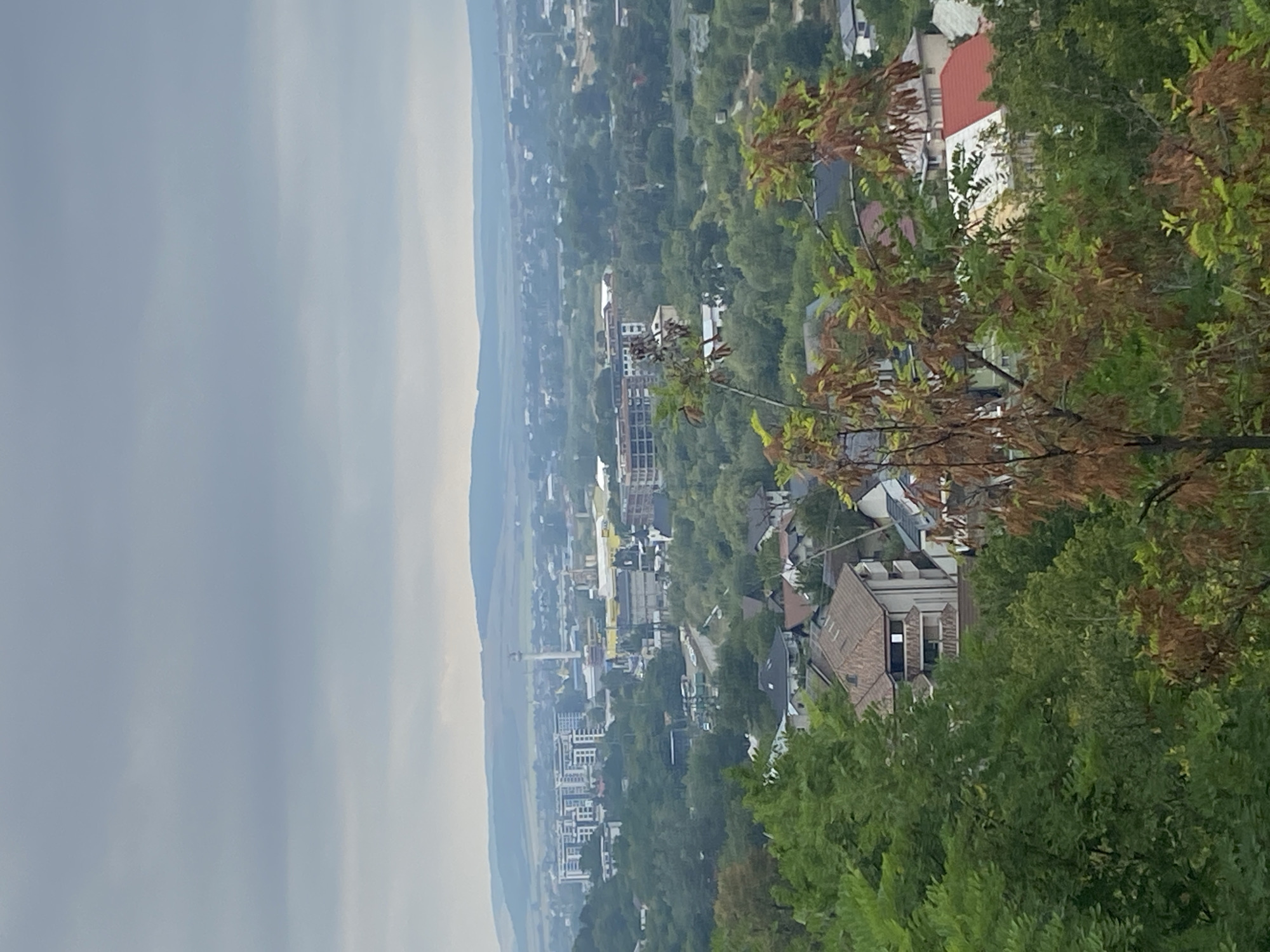 The image is a panoramic view of a city skyline with a cloudy sky. In the foreground, there are trees with green and brown leaves. The middle ground shows a densely populated urban area with a mix of residential buildings, some of which are multi-story apartment complexes, and smaller houses with red-tiled roofs. Various industrial or commercial buildings are also visible, including a tall tower with a structure at its top, possibly a transmission tower or observation deck. In the background, rolling hills stretch to the horizon under a gray, overcast sky. The overall impression is a city nestled within a verdant landscape. The presence of modern apartment buildings suggests development and urban growth. The scene is calm and static, with no visible human activity.