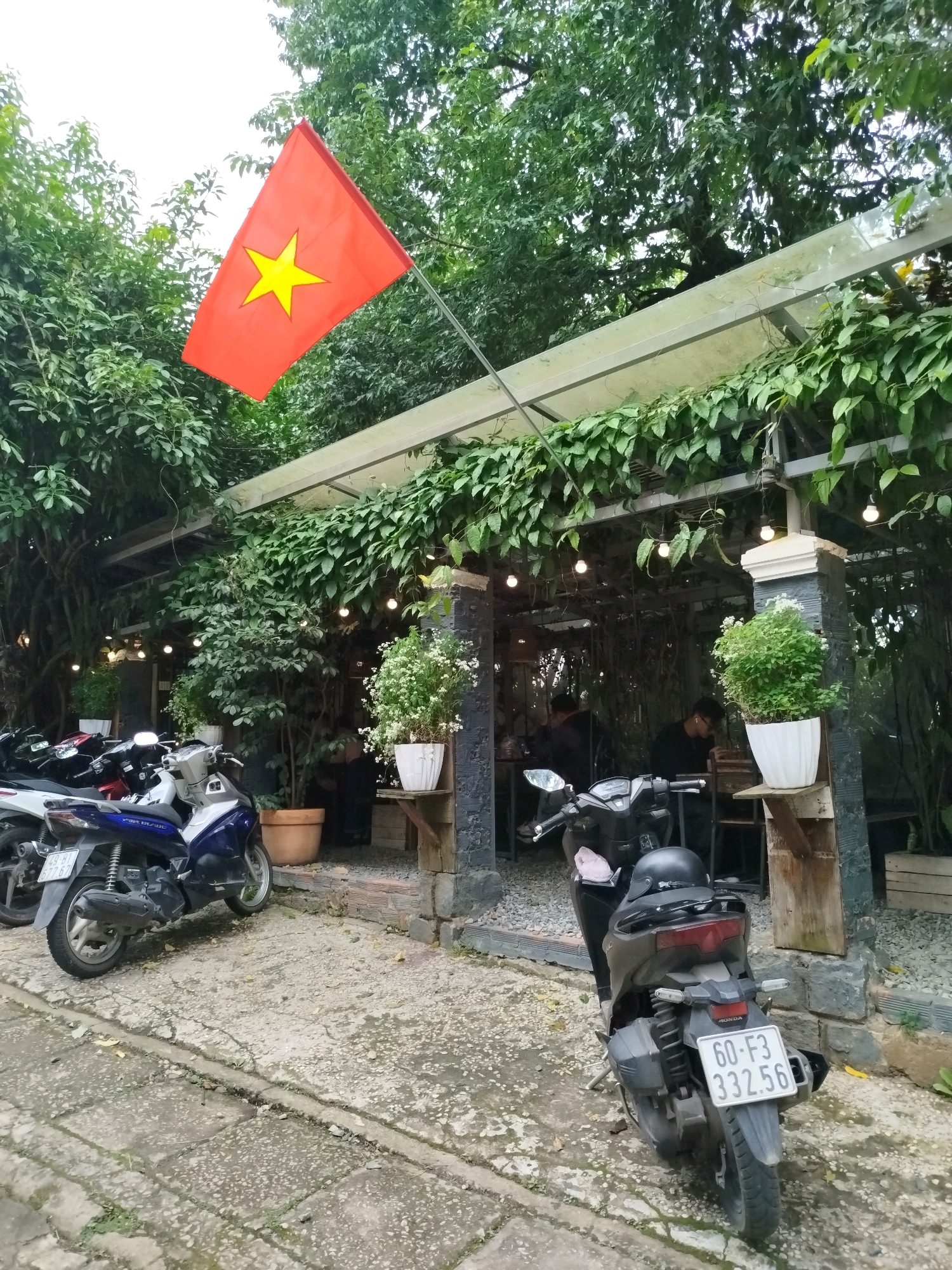 The image depicts an outdoor seating area of a cafe, likely in Da Lat, Vietnam, as indicated by the Vietnamese flag prominently displayed. The cafe appears to be situated among lush greenery, with trees and vines overhead and surrounding the seating. The architecture suggests a rustic, open-air design, with a metal frame supporting a translucent roof and adorned with climbing plants and hanging lights.
Several parked motorcycles are visible, indicating this is a popular mode of transport in the area. One motorcycle in the foreground is a black Honda with a license plate reading "60-F3 332.56". Another blue and white scooter is parked to the left, with a license plate that is partially visible.
Inside the cafe, through the open structure, two individuals can be seen sitting at tables, appearing to be patrons. One person is wearing glasses and looking down at something on the table, while the other is seated further back and also appears to be engaged with their table.
Decorative elements include large potted plants, some with white flowers, placed strategically around the seating area. The ground is paved with concrete and gravel, and the overall atmosphere seems relaxed and shaded. The presence of the Vietnamese flag suggests a connection to Vietnamese culture or patriotism.