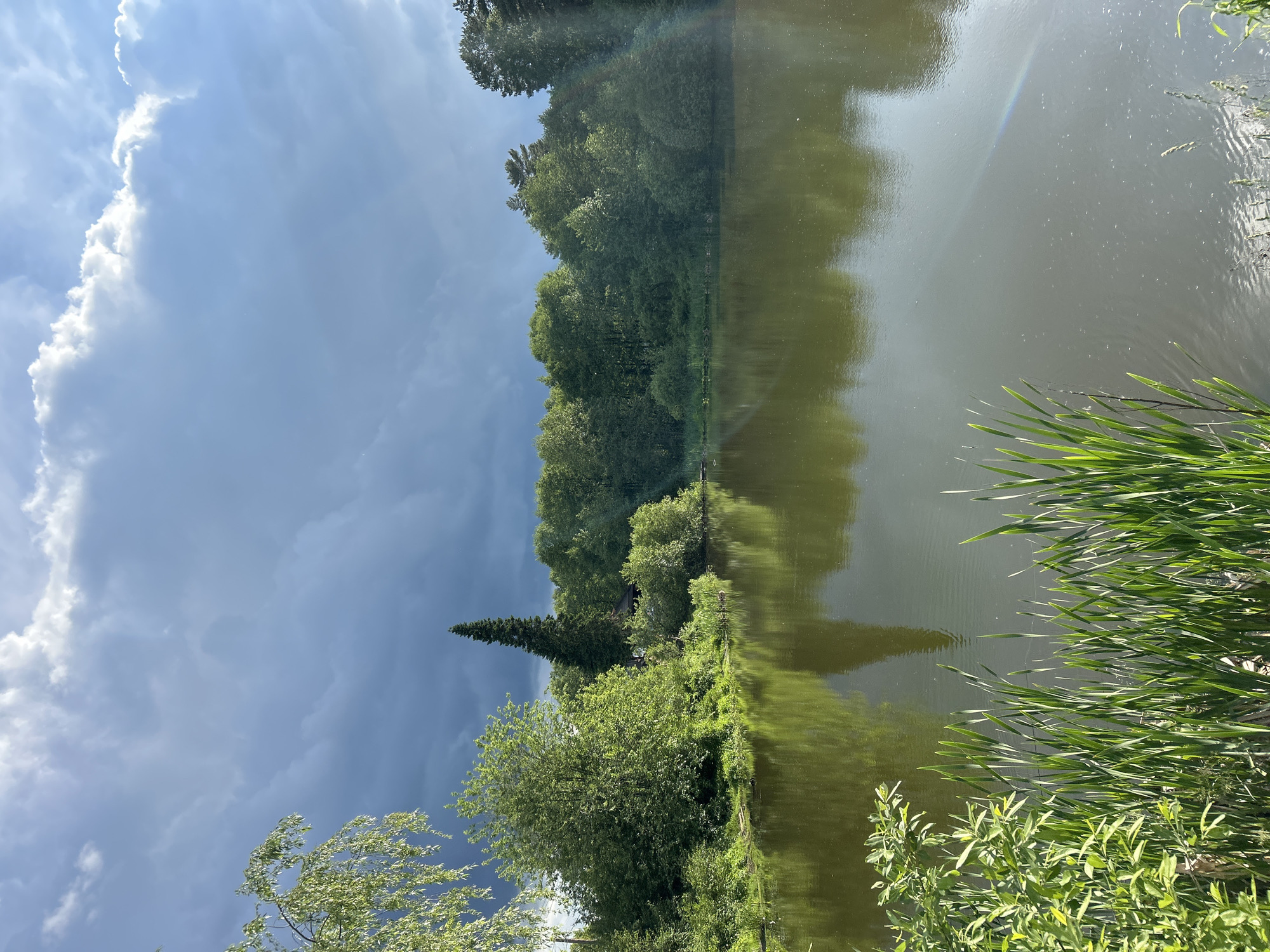 The image depicts a body of water reflecting trees and sky, possibly a lake or wide river. Trees line the far bank, and the sky above features both dark storm clouds and areas of brighter, lighter clouds. Reeds and other foliage are visible in the foreground on the right. There are no people visible. The image may be from Chaikovsky, Russia, although no specific landmarks confirm it.