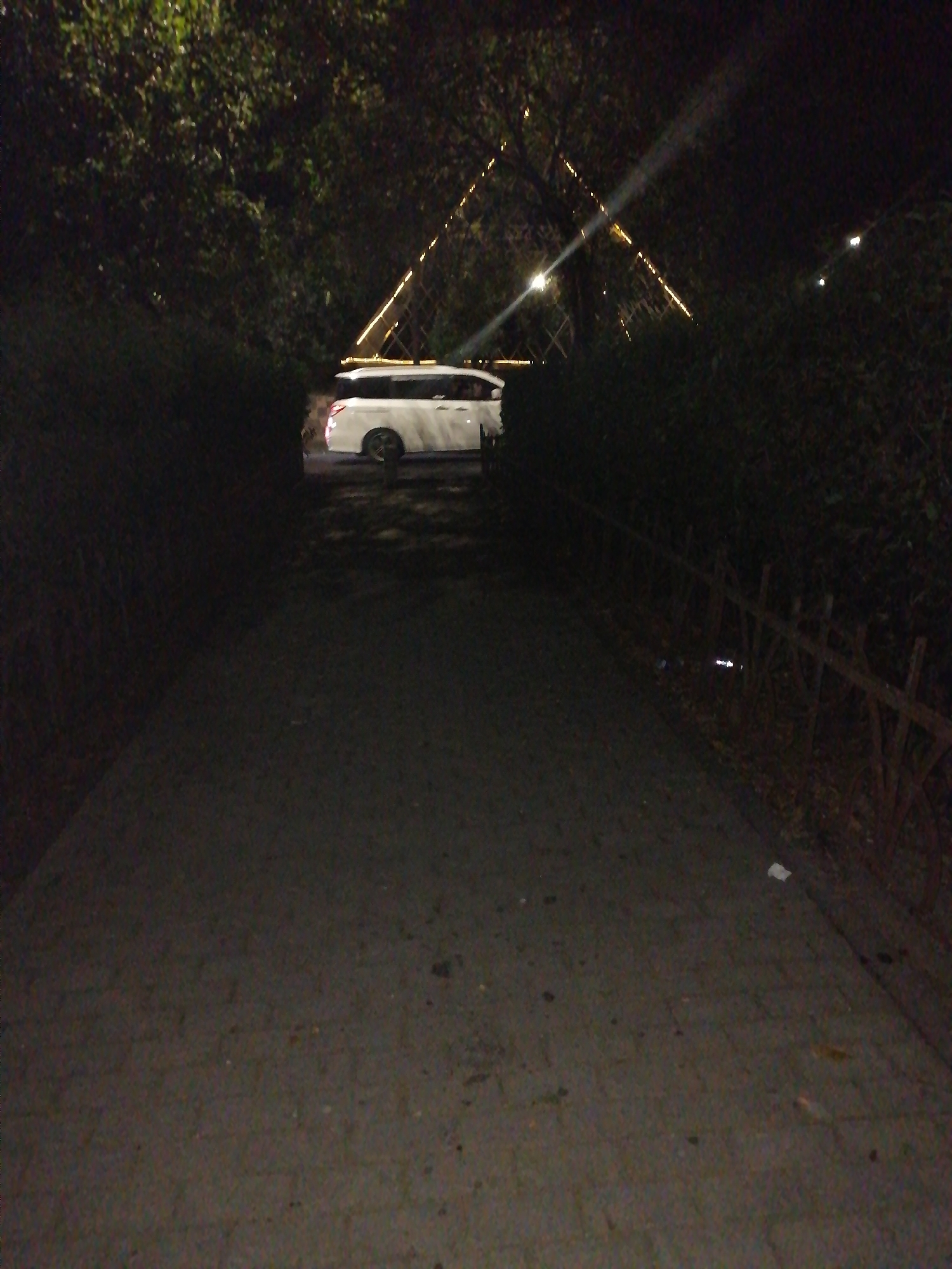 A white van is parked on a paved surface at night. The van is illuminated by strings of yellow lights that are draped over trees. The trees are dark and leafy, and there is a wooden fence on the right side of the image. The ground is covered in fallen leaves and debris. The lighting suggests an outdoor event or a pathway decorated for a festive occasion. The scene is likely within Rustavi, Georgia, given the context.