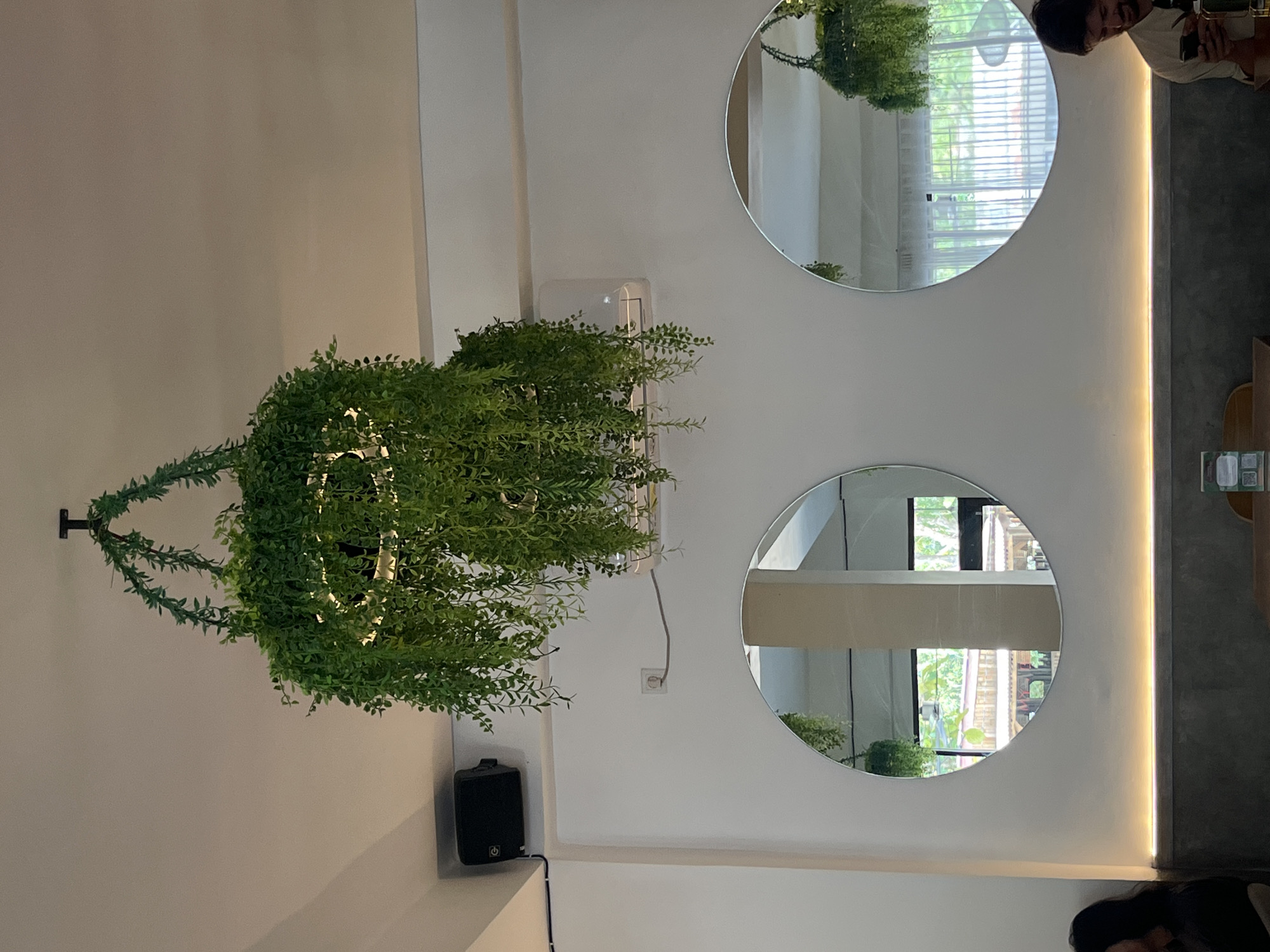 The image depicts the interior of a cafe in Kuta Selatan, Indonesia. A large, lush artificial hanging plant with cascading vines is suspended from the ceiling. Below, two large circular mirrors are mounted on a white wall. The left mirror reflects the interior of the cafe, including a concrete counter with a thin strip of warm LED lighting above it. The right mirror reflects a similar scene but also shows a glimpse of outdoor greenery through sheer white curtains in the background. An air conditioning unit is visible on the wall between the hanging plant and the mirrors. To the left, a black speaker is mounted high on the wall. In the foreground, two individuals are partially visible: one on the left with dark hair, and another on the right, a man with a beard, looking down at his smartphone and smiling. The overall ambiance suggests a modern and casual dining or relaxation space.