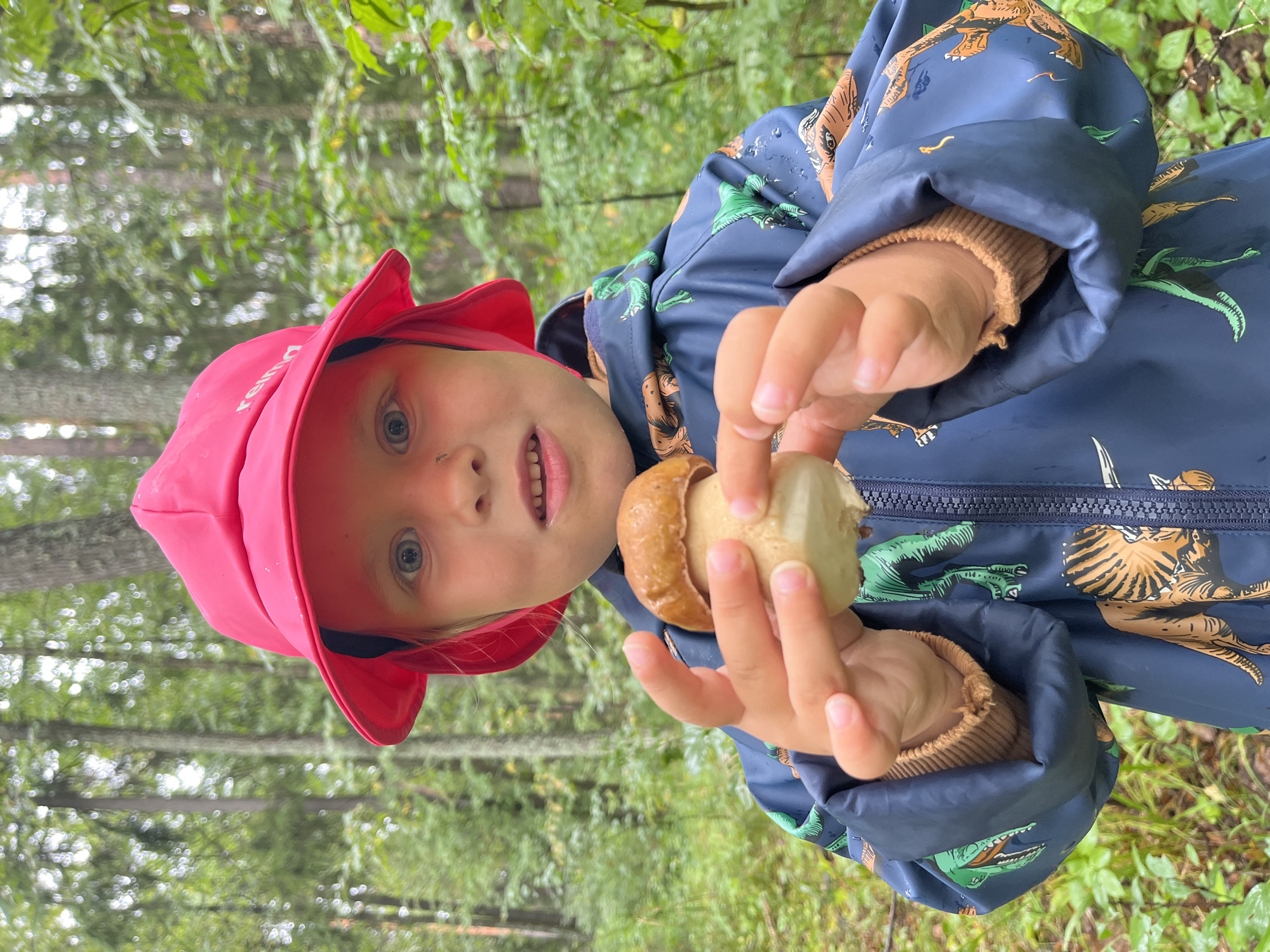 A young child wearing a pink hat and a dark blue jacket with a dinosaur print stands in a forest. The child holds a small mushroom in their hands, showing it to the camera. The background consists of tall trees and green foliage, suggesting an outdoor, natural environment. The child's expression is one of curiosity and wonder. The image is taken from a medium shot, focusing on the child and the mushroom.