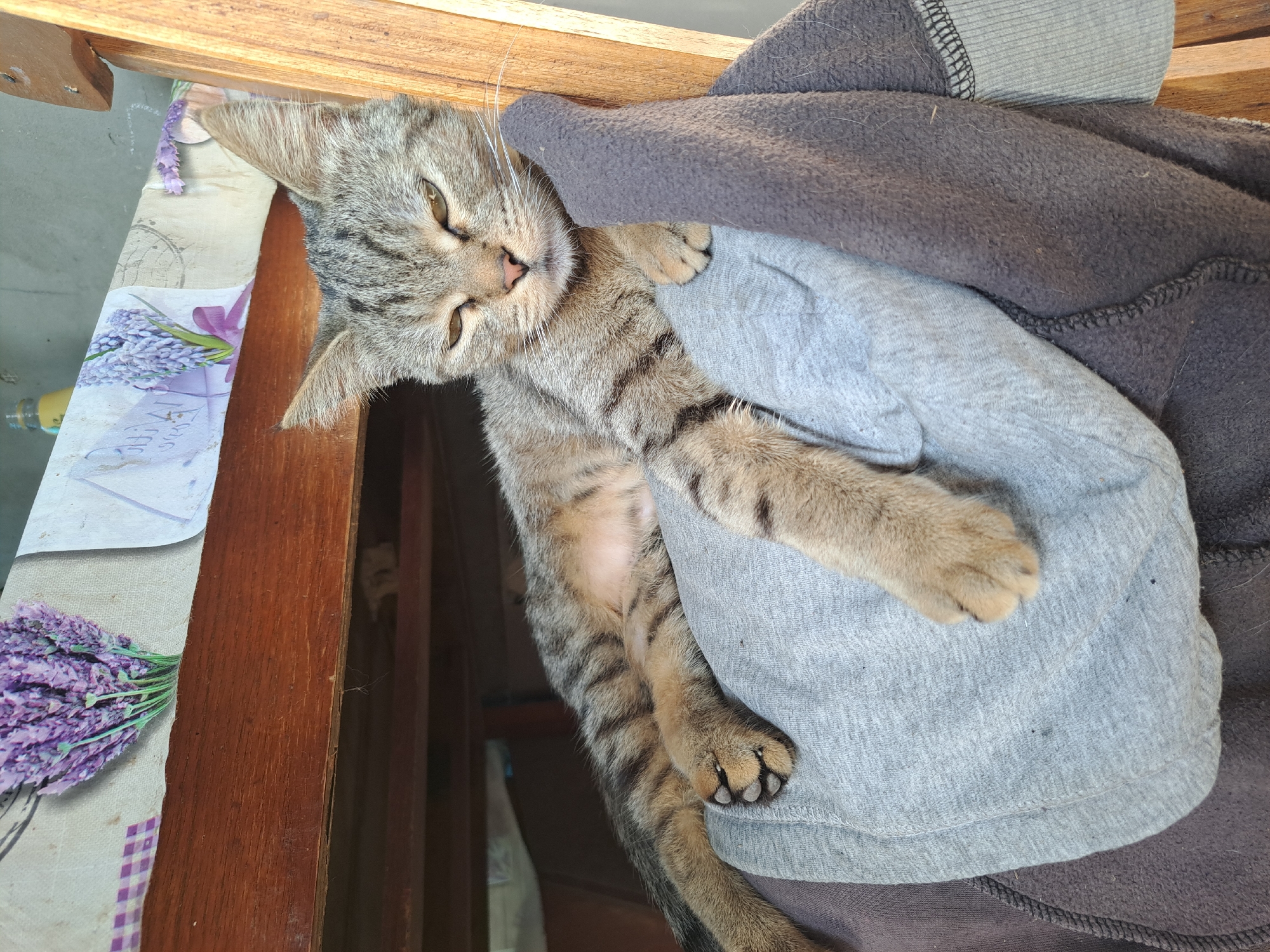 A tabby cat with closed eyes is resting on a pile of gray and dark gray fabric, likely clothing, in an outdoor setting. The cat is lying on its side, with its front paws extended and one paw resting on top of the fabric. The cat's fur is striped with shades of brown and gray. Behind the cat, a wooden structure is visible, and further in the background, a tablecloth with a lavender pattern is draped over a wooden surface. The scene appears to be in Vypasne, Ukraine, possibly on a porch or balcony, indicated by the presence of wooden furniture and the general ambiance.