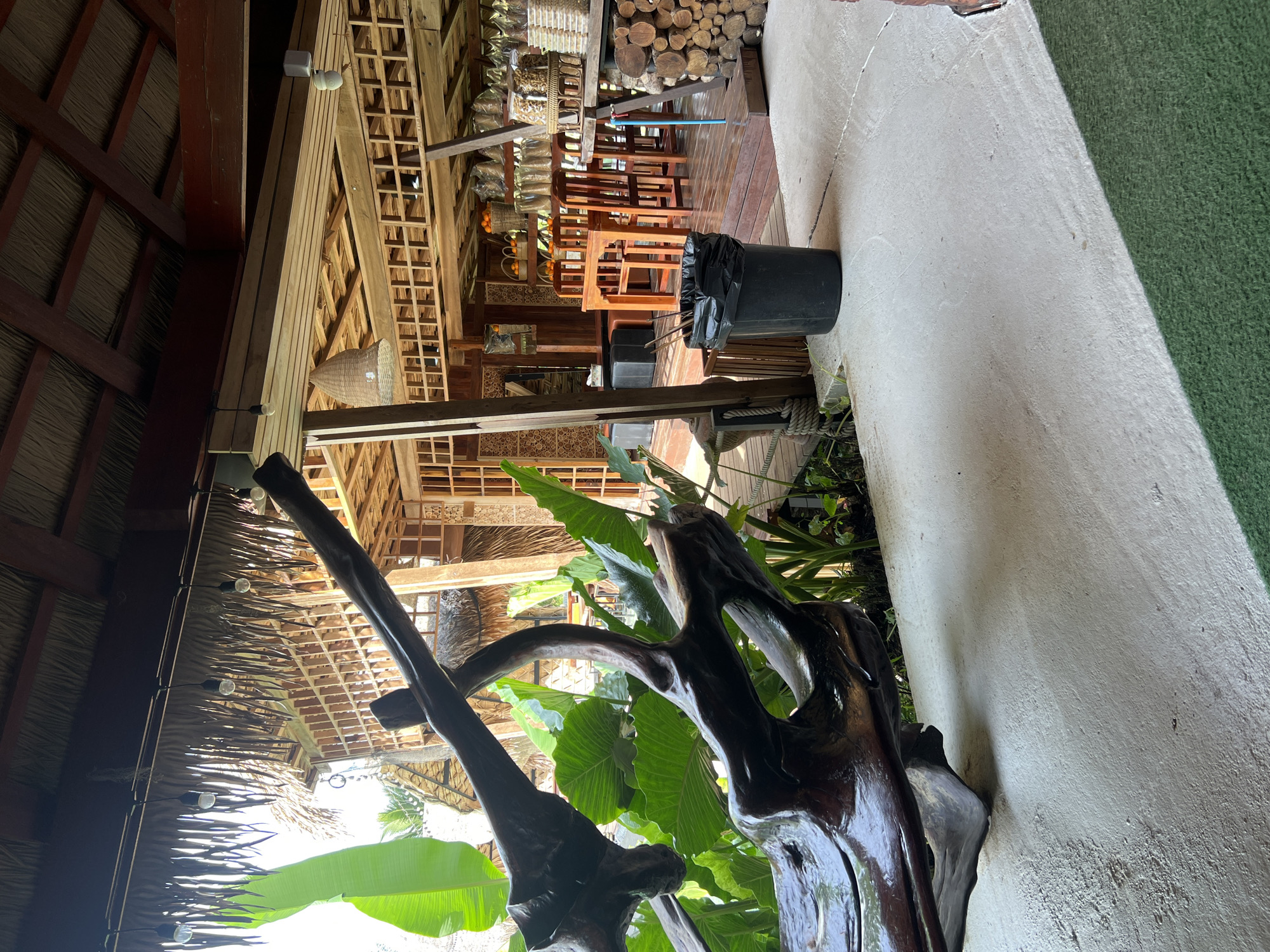 The image depicts an outdoor dining area with a rustic and natural aesthetic, likely located in Tambon Pa Kae Bo Hin, Thailand. The setting features a thatched roof supported by wooden beams, creating a sheltered, open-air ambiance. In the foreground, a large, polished piece of dark wood, possibly driftwood, serves as a decorative element, surrounded by lush green foliage.
Beyond the wood sculpture, the scene reveals a well-organized dining space. Rows of wooden tables and chairs are neatly arranged on a polished wooden floor. The tables are set with some decorative items, and baskets containing what appear to be oranges are visible on shelves behind the seating area. In the background, stacks of logs and other wooden structures suggest a workshop or storage area integrated into the establishment.
A large black trash bin with a black plastic liner is positioned near the dining area, indicating the practicalities of a public space. Lighting fixtures are subtly integrated into the wooden structure, and string lights with exposed bulbs hang from the thatched roof, suggesting the area is illuminated for evening use. The overall impression is one of a relaxed, natural dining environment, possibly a restaurant or cafe, designed to blend with its tropical surroundings. The lighting in the image suggests it was taken during the daytime, with sunlight filtering through the thatched roof. There is no visible text in the image.