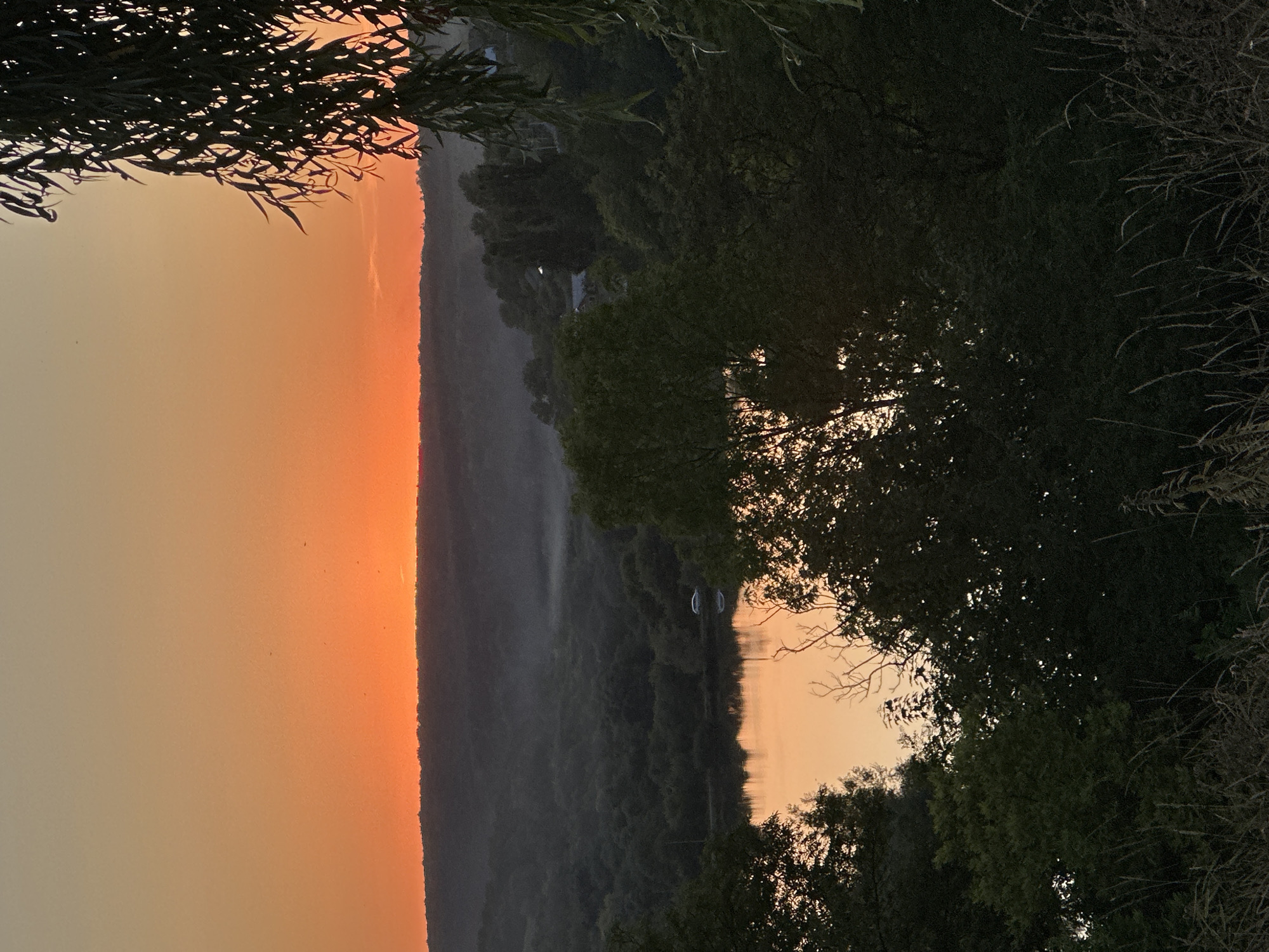 The image depicts a natural landscape at sunset, possibly in Makiv, Ukraine. The sky is a gradient of warm orange and yellow hues, transitioning to a pale peach near the horizon. Silhouetted against this vibrant sky is a dark, undulating treeline that forms the horizon. Below the treeline, a body of water, likely a lake or river, reflects the warm colors of the sunset, creating a mirror-like surface. Dense, dark green foliage fills the foreground and mid-ground, framing the view of the water and the distant hills. Some of the trees in the foreground are deciduous, with long, drooping leaves that partially obscure the view. A thin layer of mist or fog hovers low over the landscape in the distance, adding a soft, ethereal quality to the scene. The overall impression is one of tranquility and natural beauty at the close of day.