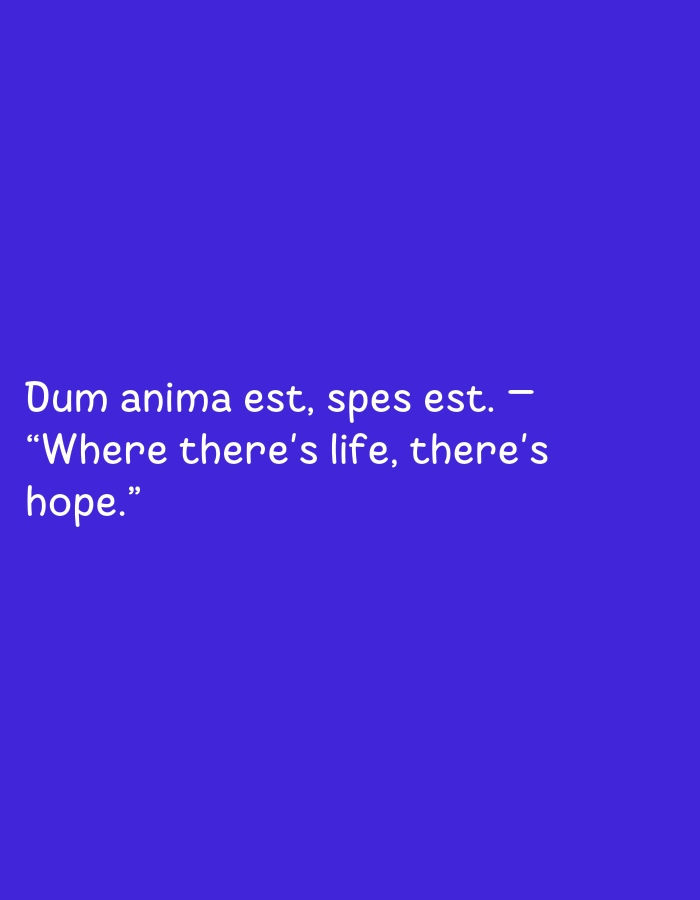 The image is a plain blue background with white text. The text displays a quote in Latin and English. The Latin portion reads "Dum anima est, spes est. —" and the English translation is "Where there's life, there's hope." There are no people, subjects, objects, actions, interactions, or environmental details present in this image. Therefore, it is not possible to include any information about the location in the city of Mangu Town, Nigeria.