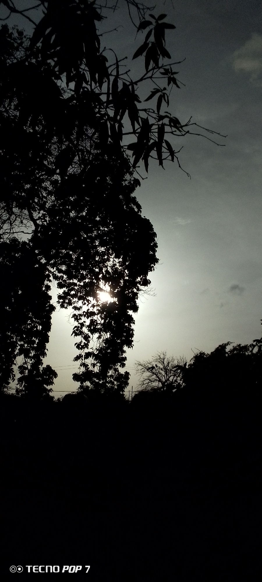 The image displays a silhouette of trees against a bright sky. The sun is visible through the foliage, creating a glare that obscures details. The lower portion of the image contains a watermark that reads "TECNO POP 7". There are no people or specific identifiable landmarks present that would allow for localization to Altagracia, Venezuela. The overall scene is dark and underexposed, with the primary elements being the silhouetted trees and the bright, sunlit sky.