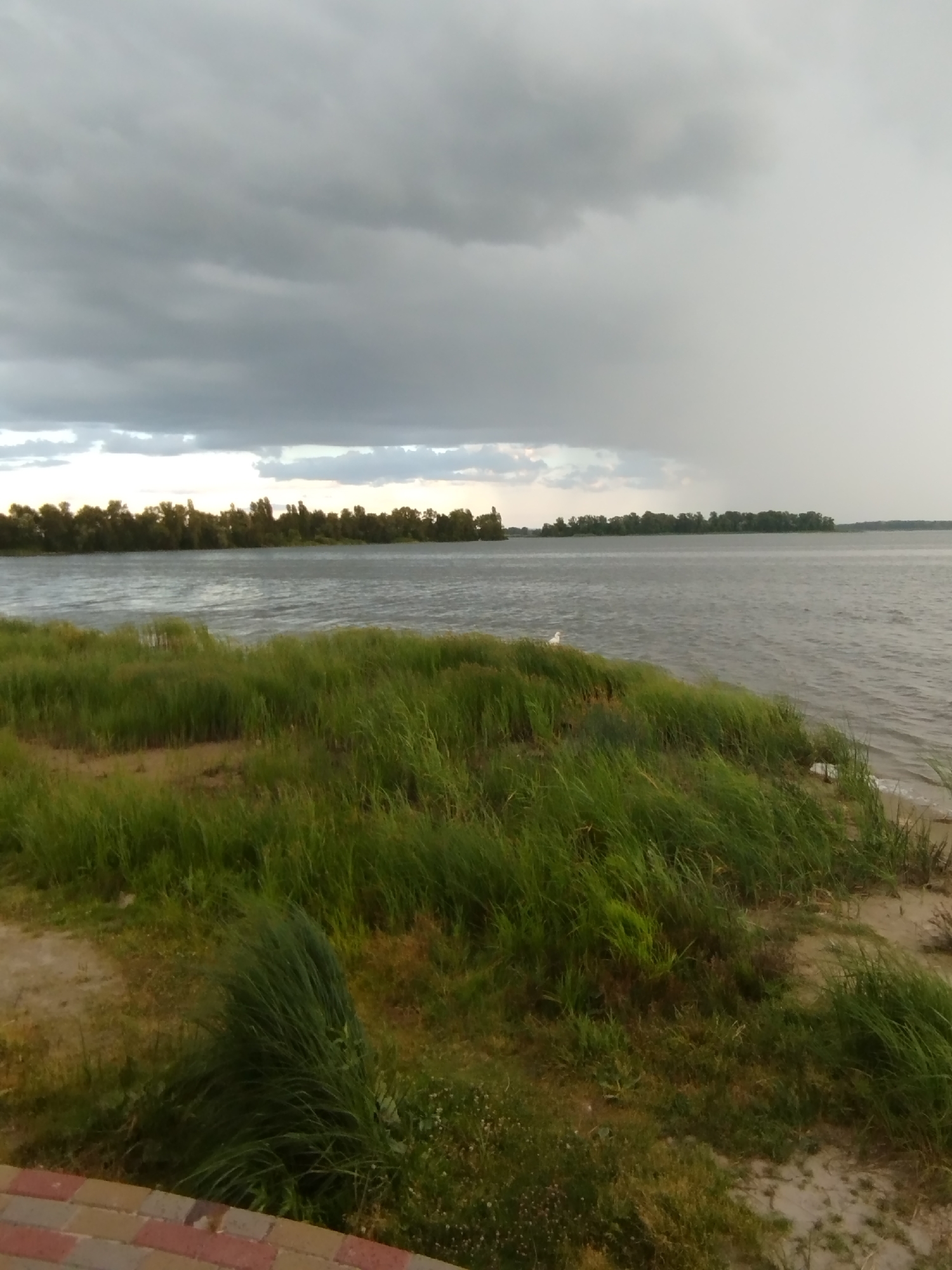 An outdoor scene depicts a wide, calm river under a heavily clouded sky, with a distant tree-lined shore. The foreground features a bank covered in lush, green grass, some of which is windswept. A small white bird stands on the grassy bank near the water's edge. In the lower left corner, a section of a paved walkway with red, yellow, and brown bricks is visible. The overall atmosphere suggests overcast weather, possibly before or after a rain shower. The location is identified as the embankment in the city of Horishni Plavni, Ukraine.