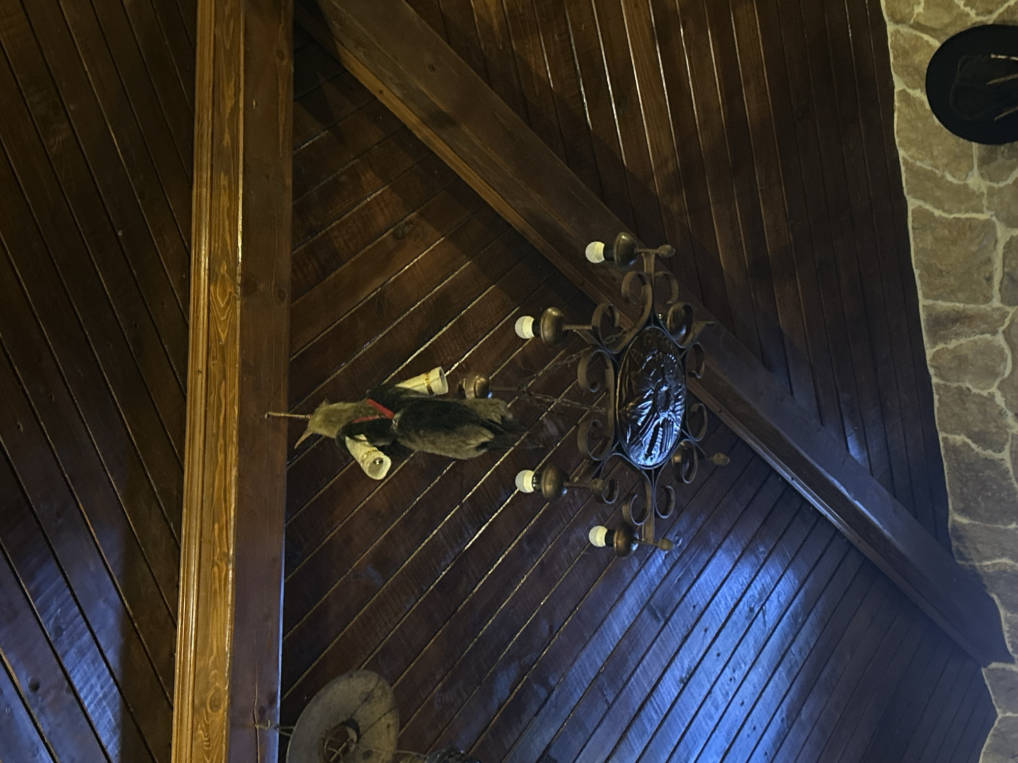 The image depicts an interior view of a structure, likely in Mirovyane, Bulgaria, characterized by dark, diagonally oriented wooden paneling. A decorative wooden beam is prominent in the left of the frame. Hanging from the ceiling is a wrought-iron chandelier with multiple light bulbs. Additionally, a taxidermied bird, possibly a duck, hangs from the wall. The right side of the frame features a stone wall with a dark circular object mounted upon it.