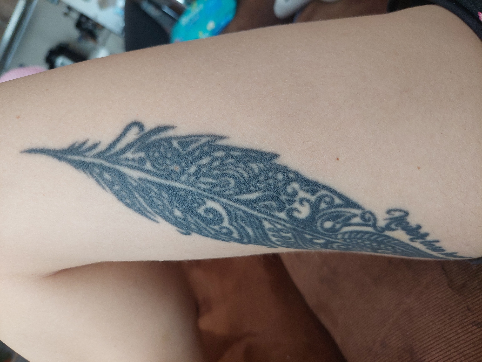 A close-up shot depicts a person's arm with a feather tattoo. The tattoo is black and detailed, featuring a stylized feather design with intricate patterns. Part of the tattoo includes script writing, but the specific words are not clearly discernible. The person's skin is light. The setting appears to be indoors, with brown fabric in the background. There is no discernible connection to the city of Plovdiv, Bulgaria.