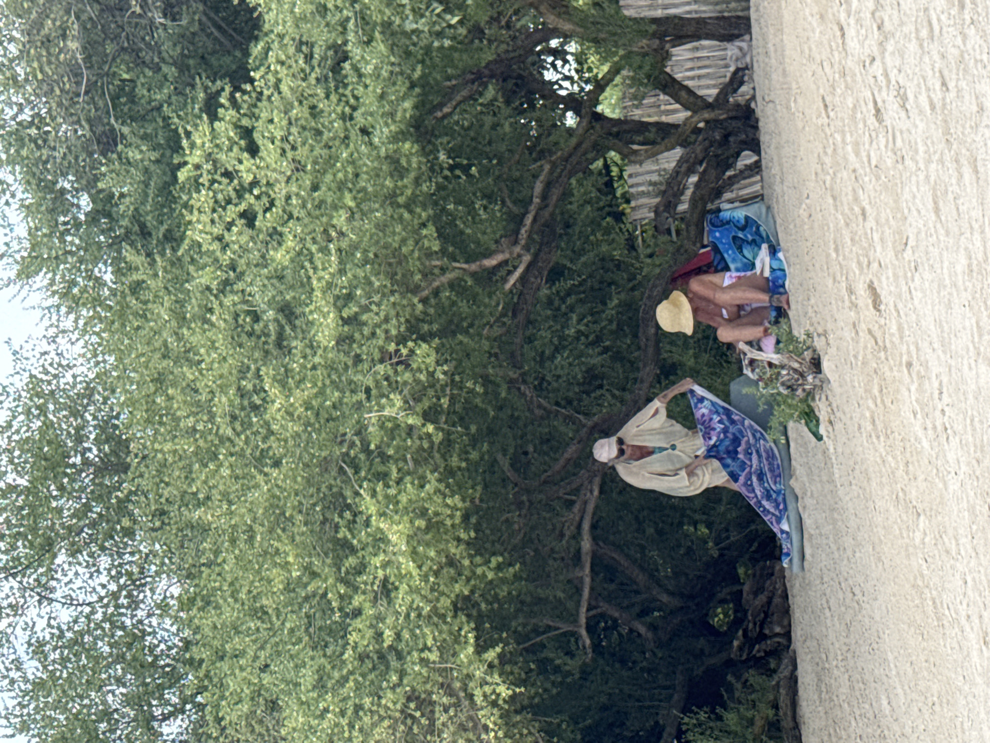 A vertically-oriented medium shot shows two individuals near a light-colored wall and dense foliage, possibly in an urban park. One person, wearing a light-colored outfit and a white head covering, holds a blue and white patterned cloth aloft. The other person, wearing a bathing suit and a straw hat, is resting or lying down on a blanket. The scene appears to be set against a backdrop of trees and vegetation. Based on the prompt, the location is Unknown, Indonesia.