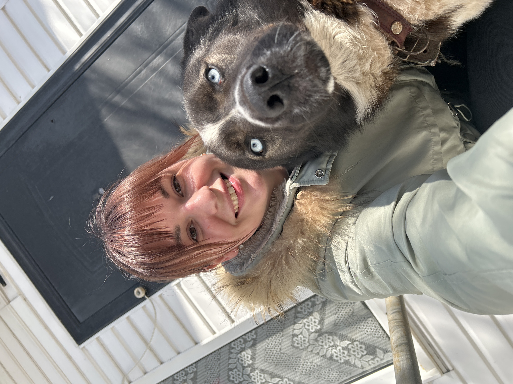 This image depicts a close-up, selfie-style photograph taken outdoors in the city of Фоки, Russia. A smiling female individual with light brown hair and bangs, wearing an olive-green winter jacket with a light brown fur-lined hood, occupies the left side of the frame. She is positioned next to a large dog with black fur, distinct white facial markings, and striking bright blue eyes. The dog's snout and eyes are prominent in the foreground, and it wears a distressed brown leather collar with a metal buckle and stud.
The background reveals a residential structure with white horizontal siding and a dark-colored door. To the immediate left of the woman, a white or light-grey lace-patterned curtain or screen is partially visible through an opening or window. Below this, a weathered, horizontal metal railing extends. The scene is illuminated by strong, direct sunlight, casting distinct shadows and highlighting facial features and jacket details. Both the woman and the dog are looking towards the camera.