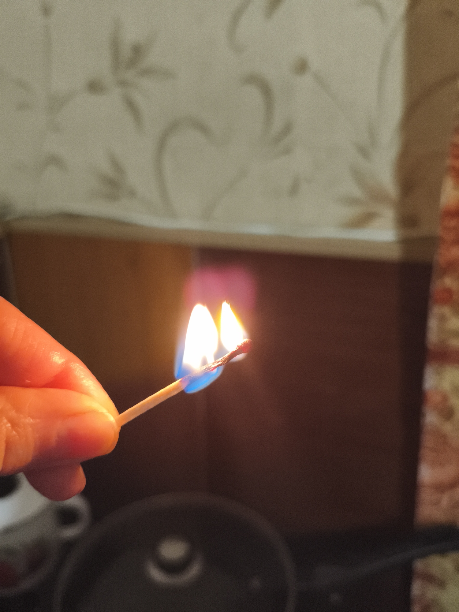 A close-up, eye-level shot shows a person's hand holding a lit match. The match head is burning with a blue and yellow flame. The background is blurred, with hints of wallpaper and cabinetry. The scene is indoors, likely in a domestic setting. There is no indication of the location in the city of Ильмино, Russia.