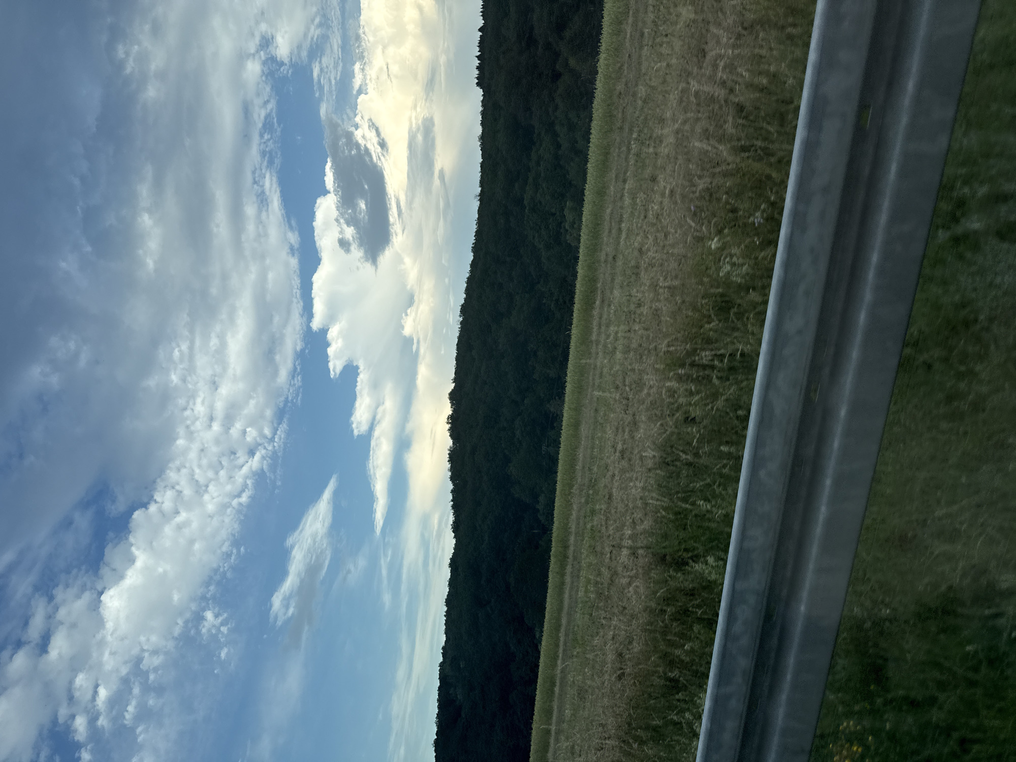 This is a wide-angle photograph taken from a moving vehicle, looking towards a grassy field and a treeline under a cloudy sky. The foreground features a metal guardrail. The middle ground shows a dry, yellowed grassy field. The background consists of a dense, dark green treeline that covers a rolling hill. The sky above is a mix of blue sky and scattered white and gray clouds. The overall impression is that of a rural landscape in Germany, likely during the daytime. The image is sharp and clear, capturing the textures of the grass, trees, and clouds. There are no people or animals visible in the frame.