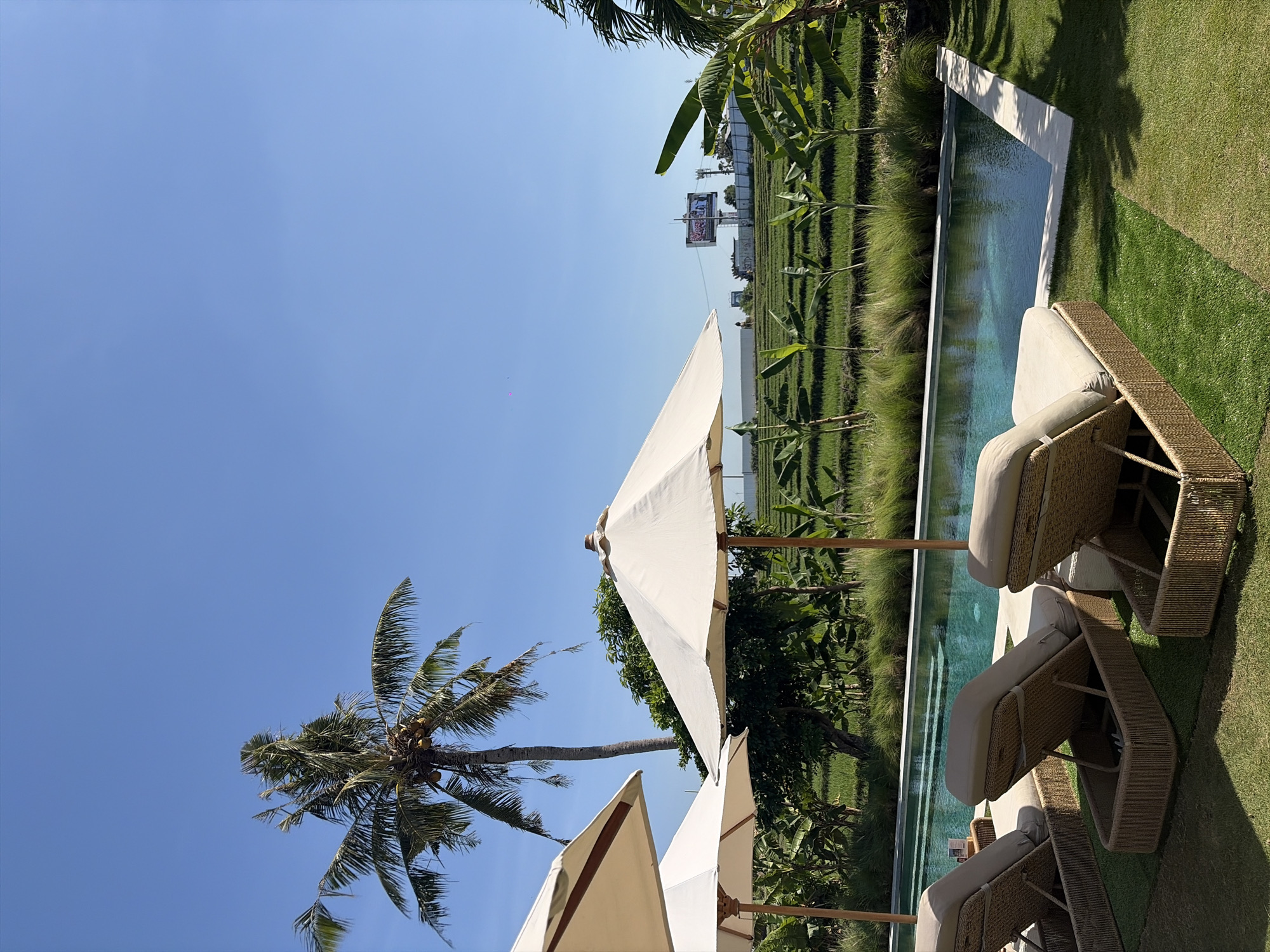 The image depicts a serene outdoor scene likely situated in North Kuta, Indonesia, characterized by lush greenery and a clear blue sky. In the foreground, three wicker lounge chairs with beige cushions are arranged on a manicured green lawn. Adjacent to the chairs is a rectangular swimming pool with turquoise water, bordered by a light-colored stone edge. Two large, cream-colored umbrellas with wooden poles stand near the pool, providing shade.
Behind the pool, terraced rice paddies stretch into the distance, filled with vibrant green plants. Several banana trees and other tropical vegetation are visible, adding to the tropical ambiance. A tall palm tree with coconuts stands to the left of the scene. In the far background, a billboard with text and images is mounted on poles, along with some distant structures and utility towers. The overall environment suggests a resort or a tranquil residential area in a tropical location. There are no people visible in the image.
