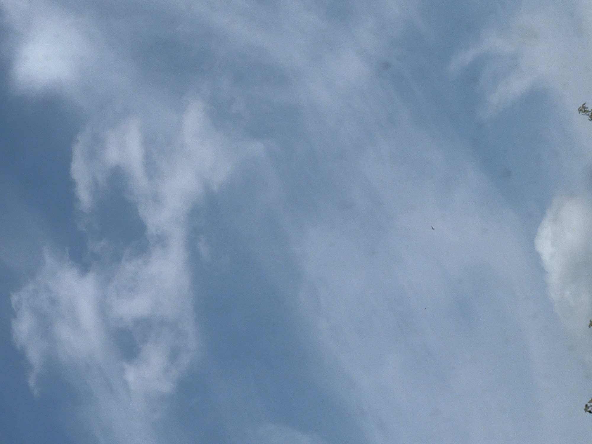 The image shows a blue sky with scattered white clouds. There are two small dark objects in the sky that may be birds. The bottom of the image shows the tops of some trees. The scene is likely outdoors and during the daytime. There is no indication of the location being in Warsaw, Poland.