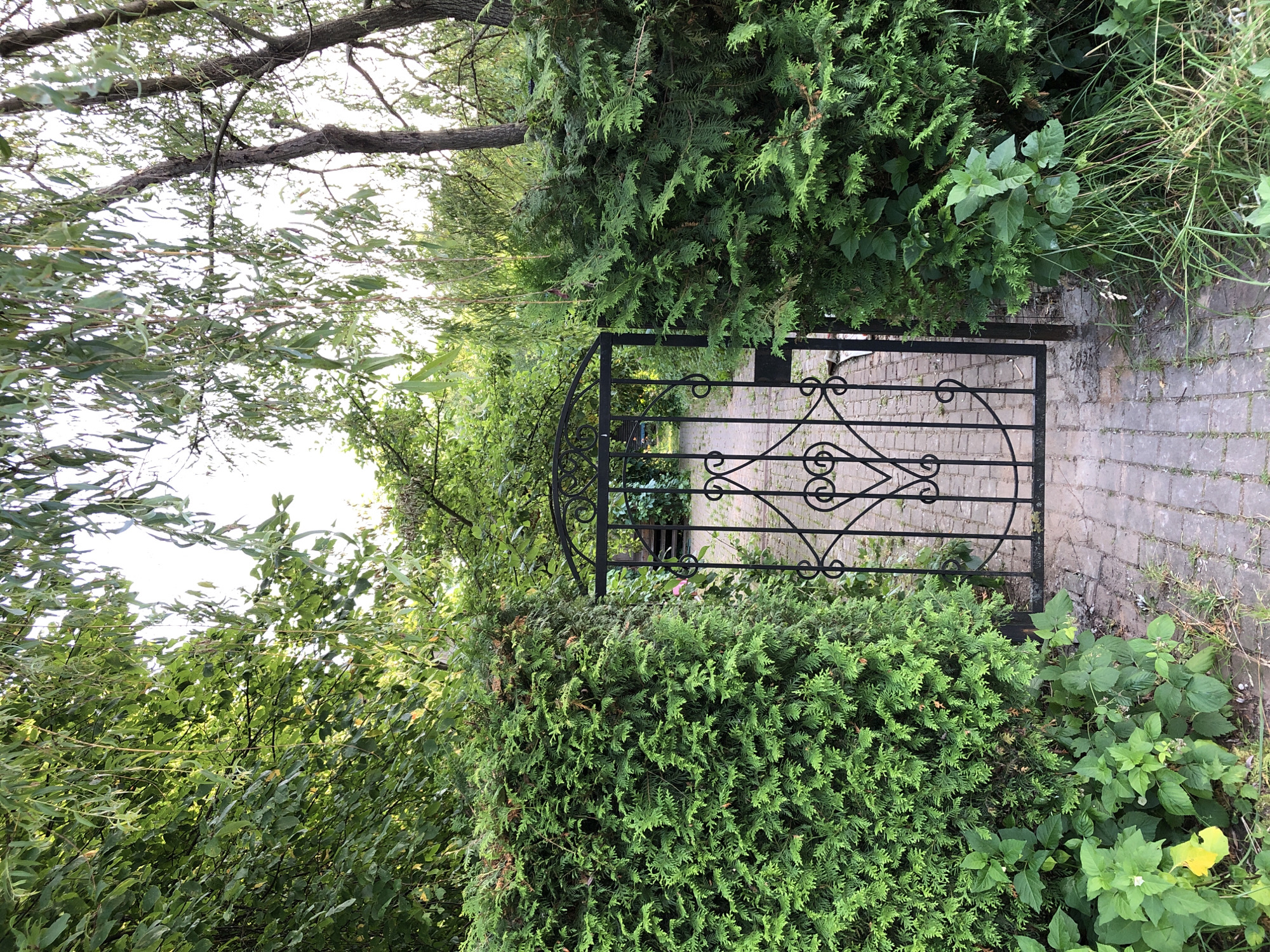 The image depicts a wrought iron gate set within a dense green hedge. The gate features an ornate design with heart shapes and scrollwork. A brick pathway leads through the gate into a garden area beyond. Lush foliage, including trees with drooping branches and other leafy plants, surrounds the gate and pathway. The scene suggests a private garden or backyard entrance. The location is Makeikha, Russia.