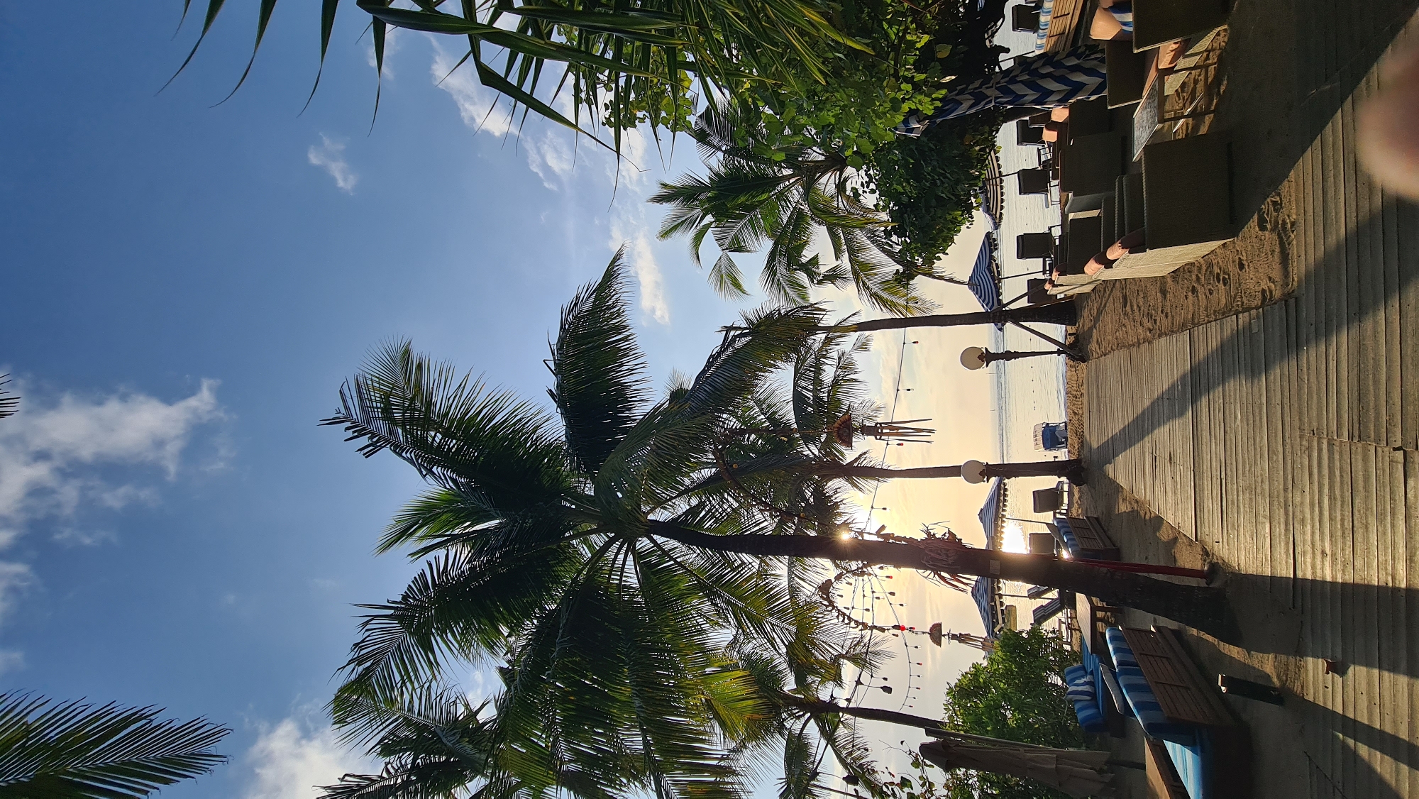 This is a photograph of a beach resort in Denpasar, Indonesia, during sunset. A wooden walkway leads from the foreground towards the ocean. On either side of the walkway are lounge chairs and tables, some of which are covered by umbrellas. Palm trees are scattered throughout the scene, and the sun is setting behind them, casting long shadows. The sky is a clear blue with a few scattered clouds. The ocean is calm and reflects the light of the sunset. There are no people visible in the image.