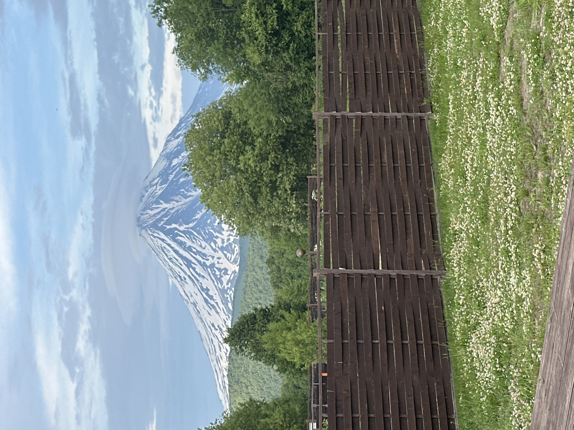 A snow-capped mountain rises majestically in the background, its peak shrouded in a wispy cloud formation. In the mid-ground, a dense forest of lush green trees creates a vibrant backdrop. In the foreground, a dark brown wooden fence runs horizontally across the frame, partially obscuring a field of green grass dotted with numerous small white flowers. The scene appears to be a picturesque landscape possibly located near Yuzhnyye Koryaki, Russia, showcasing the natural beauty of the region with a man-made fence adding a sense of domesticity or boundary to the wilder landscape. There are no people or animals visible in the image. The overall lighting suggests it is daytime, with a cloudy sky.