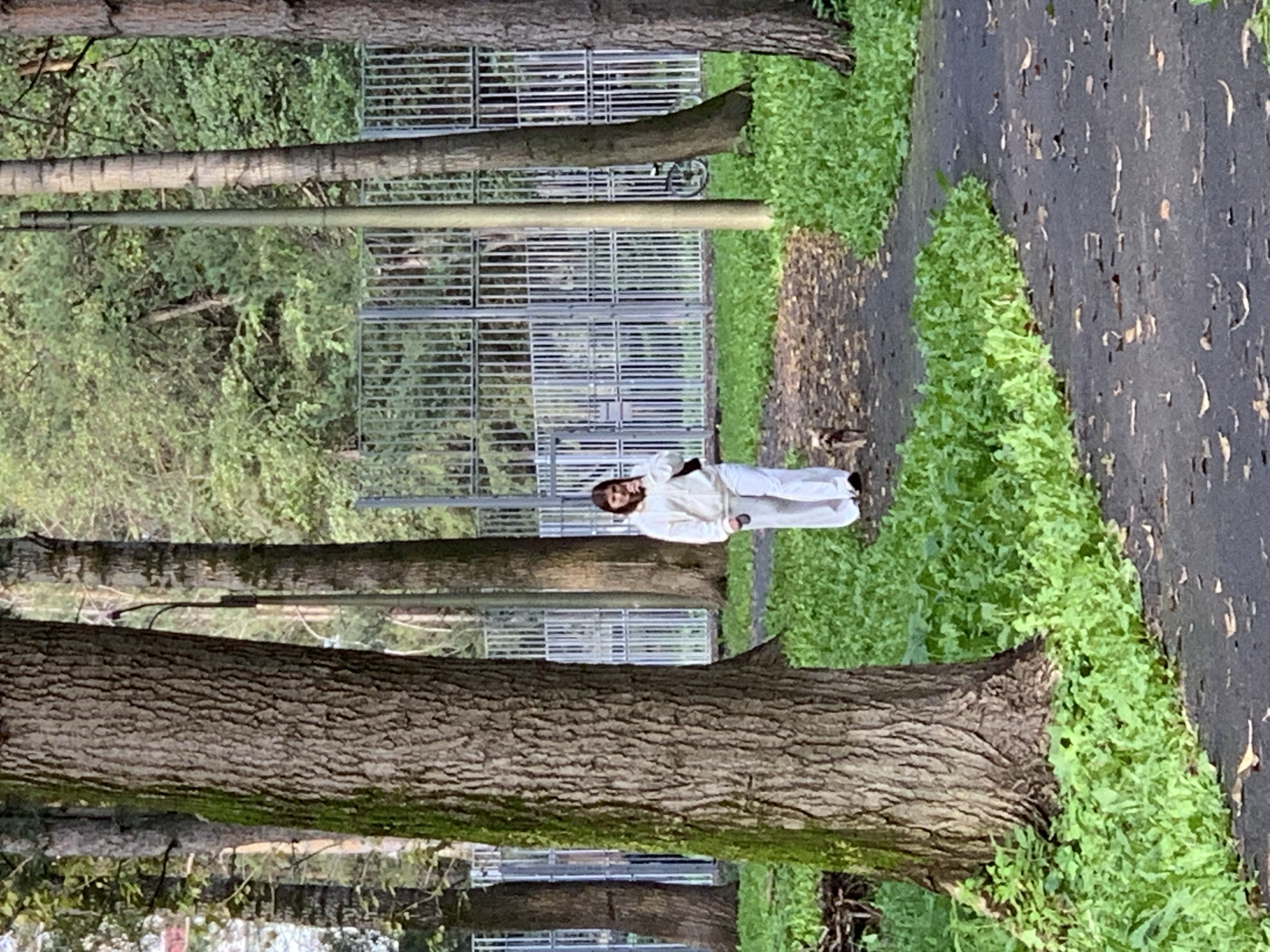 An overhead view captures a young woman and a small dog walking on a paved path in a park, likely located in Prokopyevsk, Russia. The woman, dressed in a white hooded sweatshirt and loose white pants, walks slightly ahead of the dog, which is on a leash. She is holding a phone to her ear. The path is bordered by vibrant green grass and surrounded by trees with textured bark. In the background, a tall metal fence encloses an area with dense foliage, and a bicycle is visible leaning against a pole. The lighting suggests it is daytime.