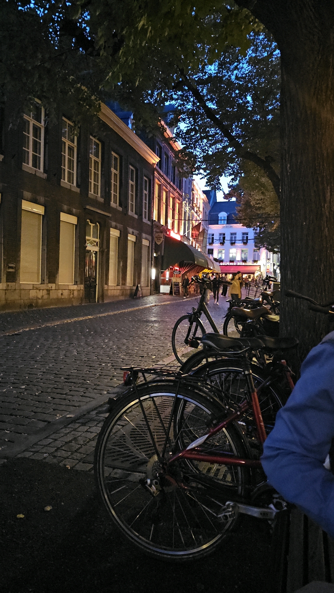 The image depicts a street scene in Maastricht, Netherlands, at dusk. The street is paved with cobblestones and lined with buildings. In the foreground, several bicycles are parked. One bicycle is prominently displayed with its rear wheel and frame visible. In the background, people are walking along the street, and some are seated at outdoor tables of a cafe. The buildings have illuminated windows and awnings. A large tree is on the right side of the image, partially obscuring the view. The sky is dark blue, indicating the transition from day to night.