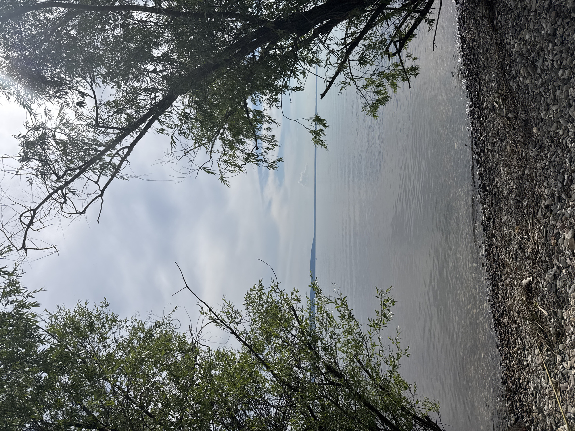 This media file is an outdoor shot of a calm body of water with a pebbly shore on the right side of the frame. The water is a muted gray color with gentle ripples on its surface, reflecting the overcast sky. A narrow strip of land with a distant outline is visible across the water.
In the foreground and along the left side of the image, there are branches and leaves of trees. The leaves are a vibrant green, and the branches are dark and somewhat bare, creating a natural frame for the scene. Sunlight filters through the leaves on the left, casting a gentle glow.
The sky is mostly overcast with some lighter patches and streaks of clouds, suggesting a partly cloudy or gray day. There are no people or discernible objects other than the natural elements of trees, water, and rocks. The overall impression is one of tranquility and natural beauty, with a sense of peacefulness evoked by the still water and the gentle breeze suggested by the leaves. The time of day appears to be daytime, given the light conditions.