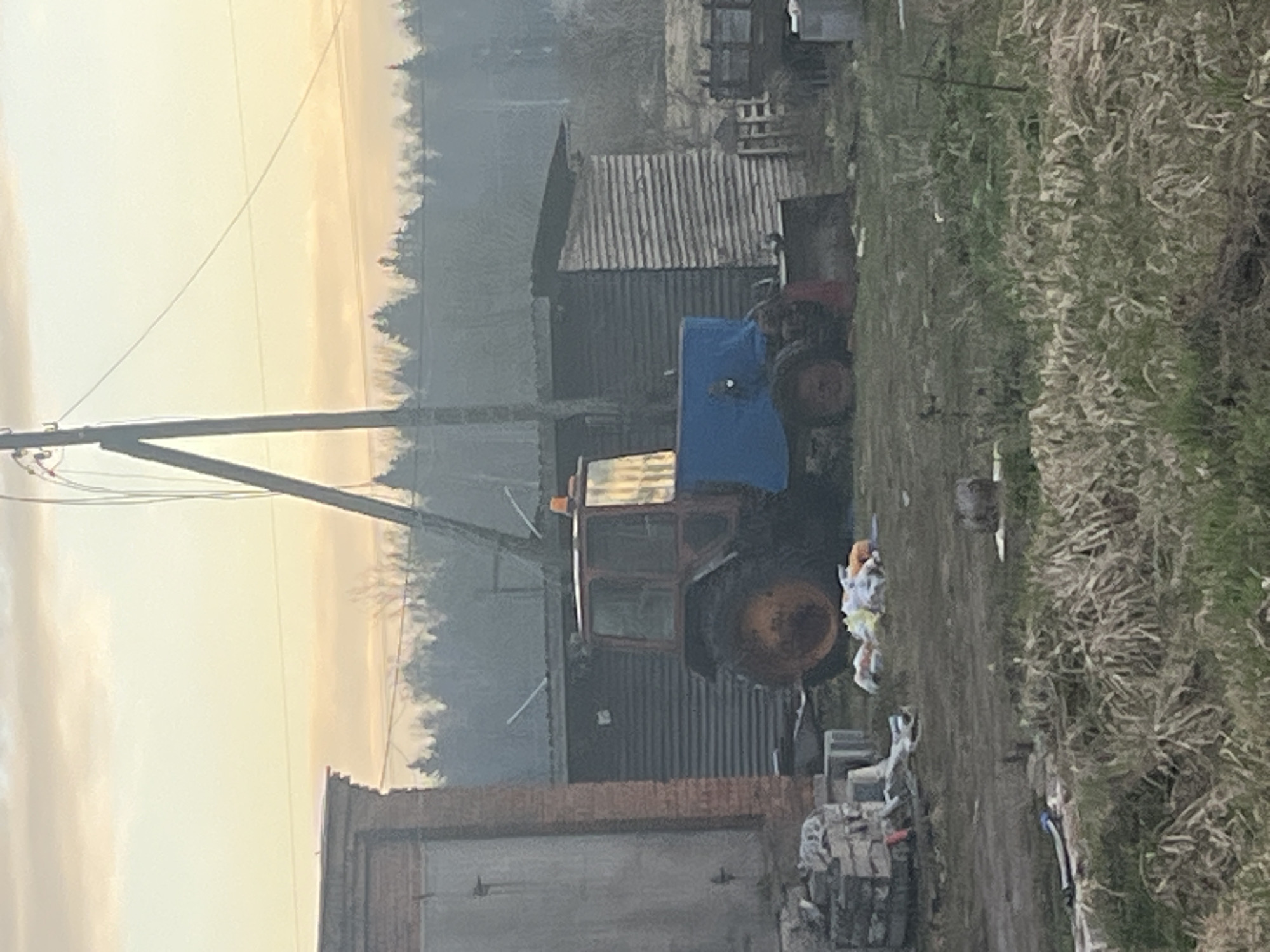 This image captures a static, rural or semi-rural scene, likely a yard or a section of a property in Razdolye, Russia. The perspective is outdoors, showcasing a mix of functional structures, a vehicle, and overgrown natural elements under a soft, diffused light.
The central subject is an older model tractor, positioned towards the left of the frame. It features a brown or reddish-brown body with large, worn tires and a prominent blue tarp or cover draped over its engine or front section. Behind the tractor, several rustic outbuildings are visible, including a dark-colored shed with a corrugated metal roof and siding, and possibly other wooden structures. In the foreground, on the bottom left, is a brick building with a closed garage door.
To the right of the scene, the ground is covered with thick, unkempt grass and dry, straw-like vegetation, suggesting an area that is not regularly maintained. Scattered near the tractor and in the foreground are various piles of debris, including what appear to be bricks, construction materials, and general clutter. A tall wooden utility pole with multiple power lines extends upwards from the left, diagonally crossing the sky.
The sky, visible in the upper portion of the image, displays a warm, yellowish-orange hue, indicative of either sunrise or sunset. The overall lighting is soft and hazy, suggesting overcast weather or atmospheric conditions that diffuse the sunlight. There are no people visible in the image, and no specific activity or event is taking place; the scene appears quiet and still. The distant horizon features a line of dark trees, partially obscured by the haze. No visible text is present within the frame.