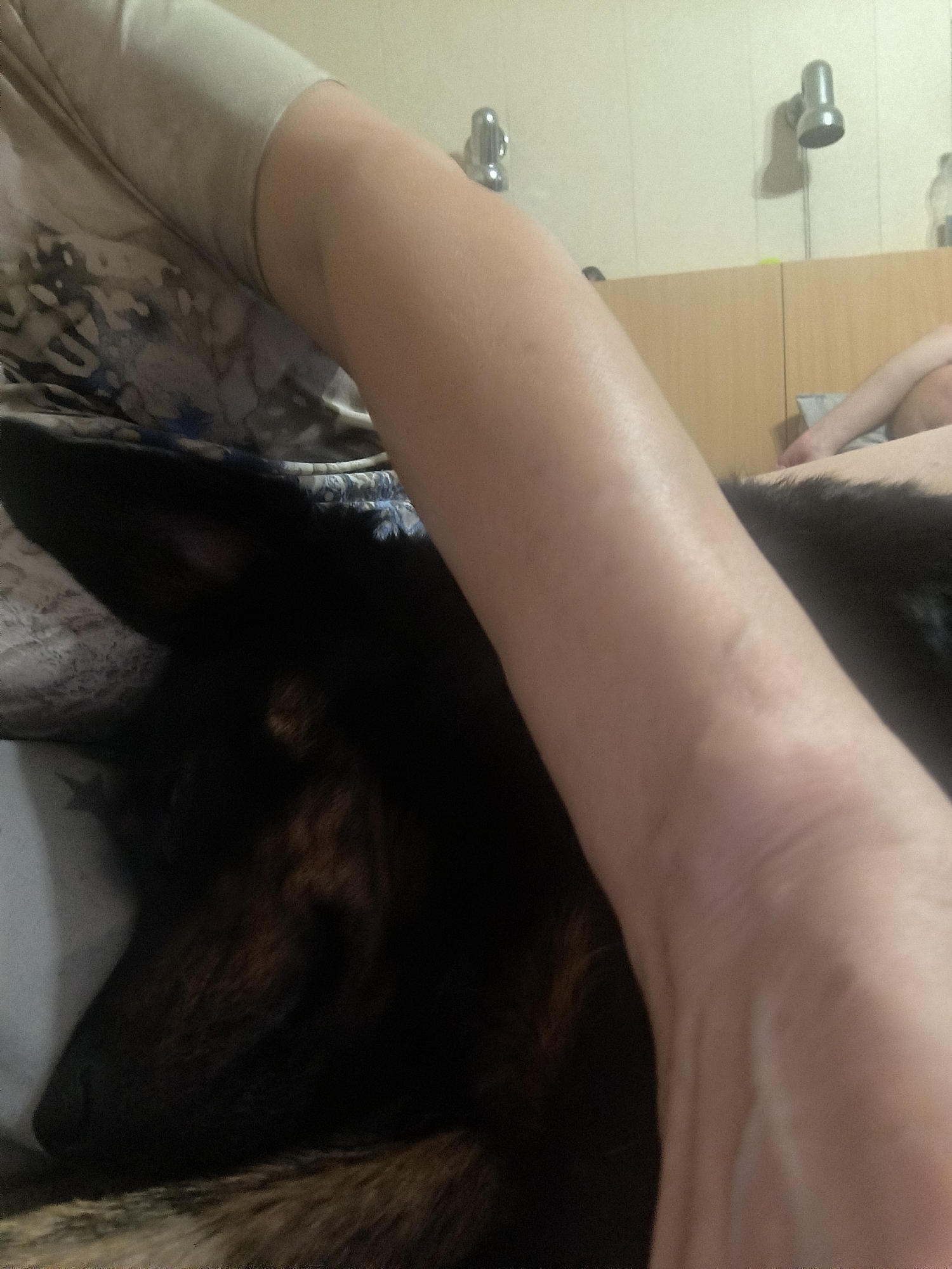 The image shows a person's leg and arm resting on a dark-colored dog, which appears to be sleeping or lying down. The person is wearing a light-colored t-shirt with a patterned design. The background includes a wooden headboard of a bed and a wall with two fixtures, possibly lights or faucets, and a bottle on a shelf. The scene appears to be indoors, in a bedroom or similar living space. There are no identifiable landmarks that would indicate a specific location in Mykolaiv, Ukraine.