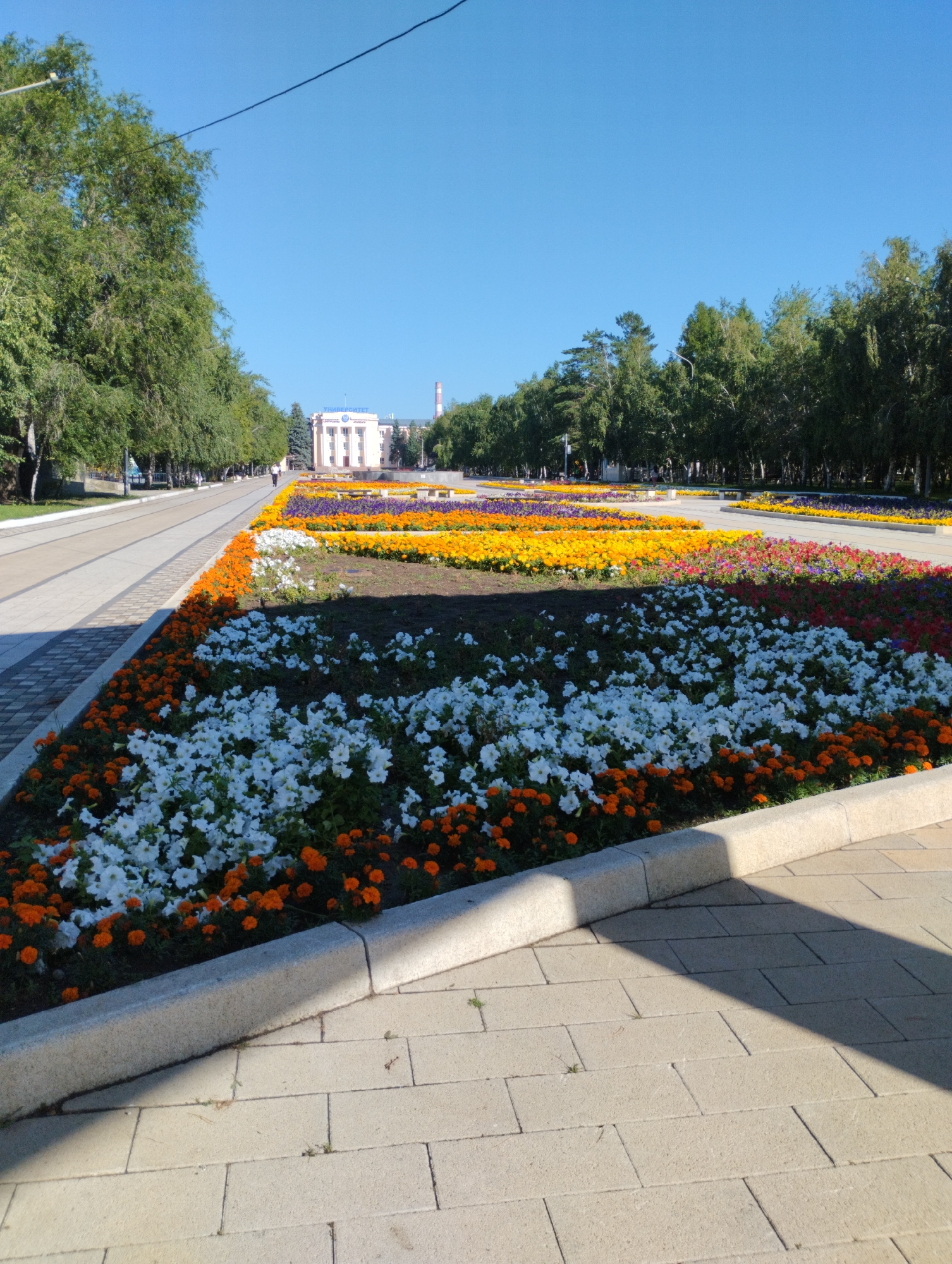 The image shows a flowerbed with colorful flowers in front of a university building. The university building has a light-colored facade and a blue sign that says "УНИВЕРСИТЕТ" (University). The flowerbed is arranged in rows of different colored flowers, including white, orange, yellow, and purple. There is a paved walkway next to the flowerbed, and trees line the walkway. The sky is clear and blue. The location is the Kostanay State University named after Akhmet Baitursynov, located in Kostanay, Kazakhstan.