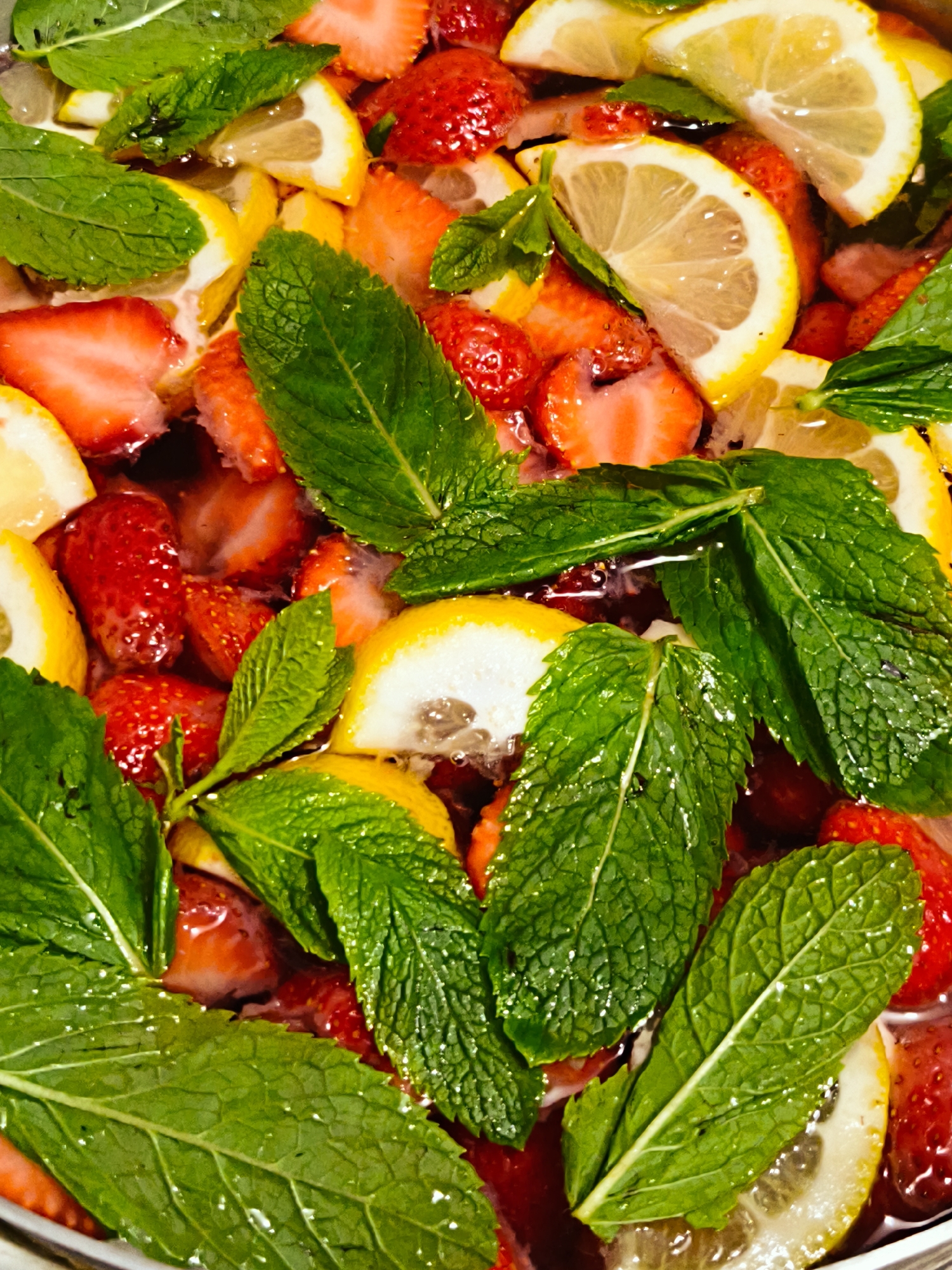 A vibrant, close-up, top-down shot captures a refreshing mixture of fruits and herbs submerged in a clear liquid, likely for an infused beverage. The primary subjects are numerous bright red strawberries, some whole and others halved or sliced, revealing their juicy interiors. Interspersed among the strawberries are thin, translucent slices of yellow lemon, often cut into semicircles, with their white rinds clearly visible.
Dominating the scene with their vivid green color are large, fresh mint leaves, many with visible veins and small water droplets clinging to their surfaces, indicating their freshness. These leaves are scattered throughout the liquid, providing a striking contrast to the red and yellow fruits. The liquid itself appears clear, allowing the colors of the ingredients to pop.
The edge of a light-colored container, possibly a bowl or pitcher, is subtly visible at the bottom and sides of the frame. The overall impression is one of natural freshness and an invigorating drink. No visible text is present in the image. The time of day or specific outdoor location cannot be determined from the shot.