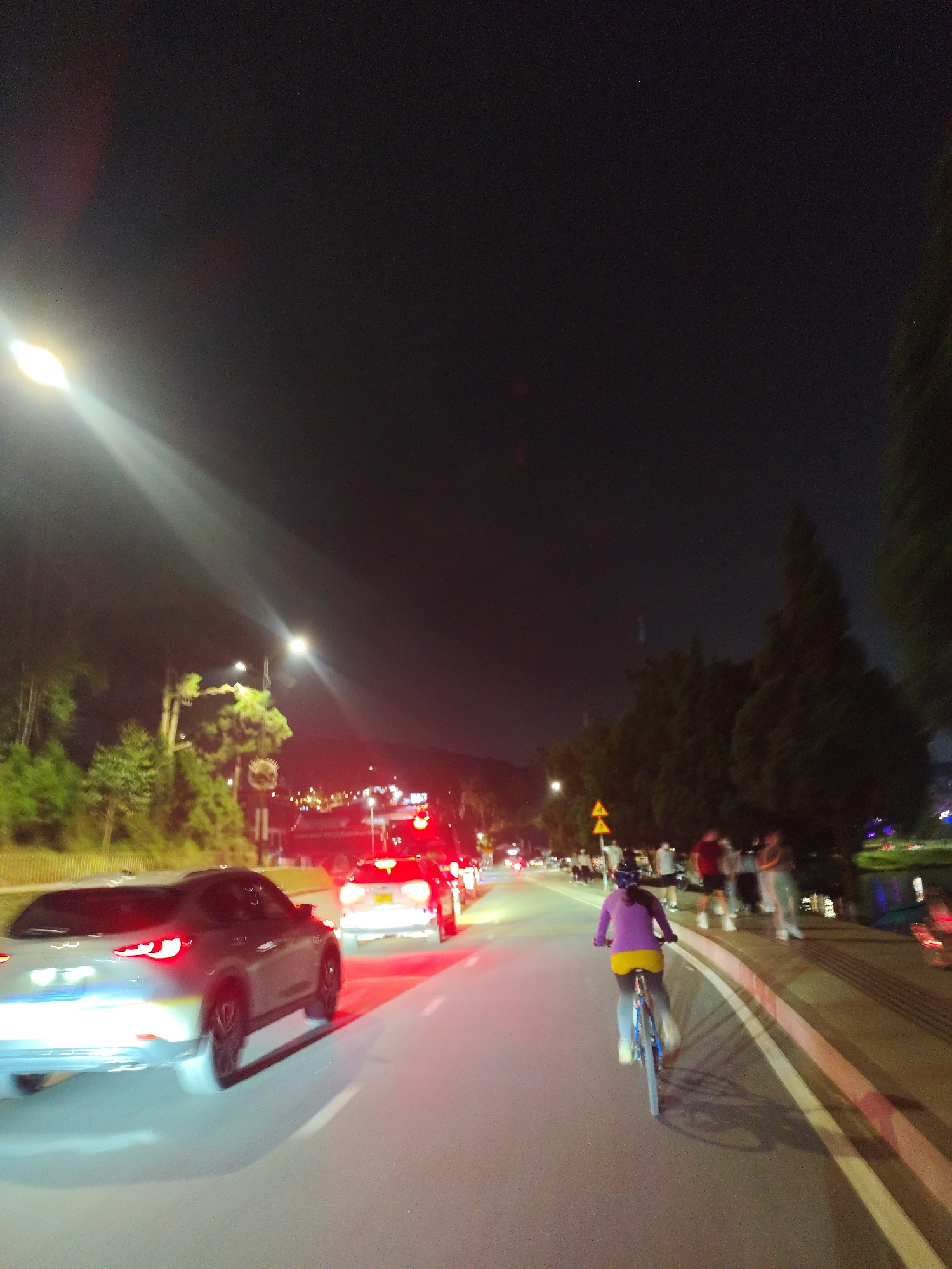 The photograph, taken at night, depicts a road scene in what is likely Da Lat, Vietnam. On the left, a grey SUV is blurred in motion. Ahead, several vehicles show red tail lights, indicating they are also moving forward or stopped.
A cyclist wearing a purple top and yellow shorts is riding a bicycle on the right side of the road. A group of people are standing on the sidewalk. Green trees line the sides of the road, with streetlights providing illumination. The sky is dark, indicating nighttime.