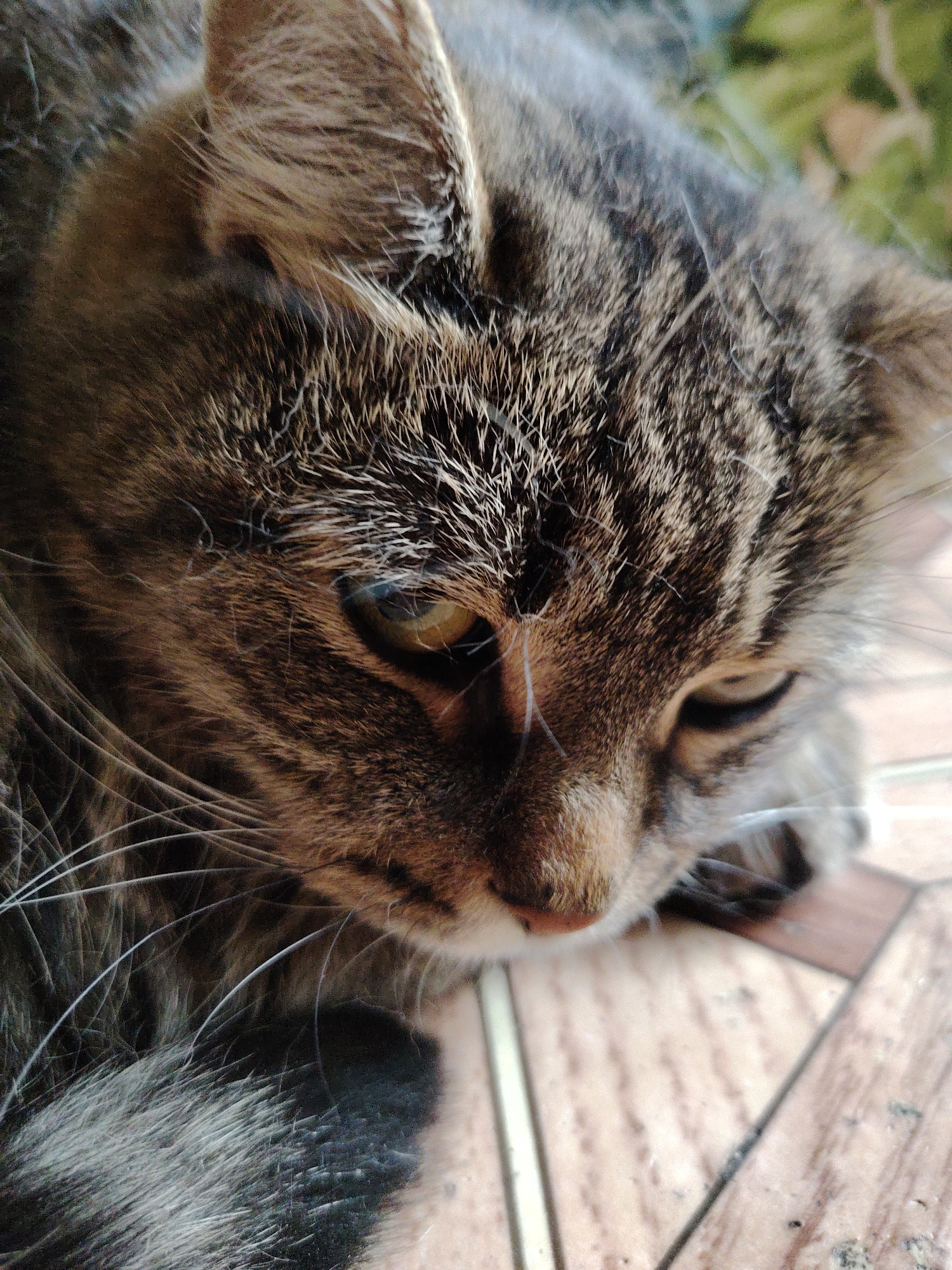 Memory