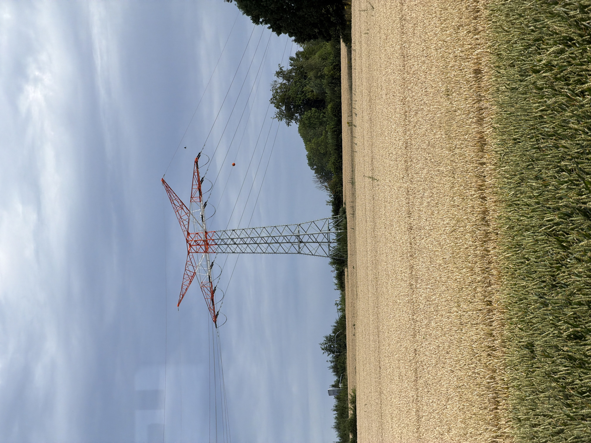 An outdoor, medium shot captures a golden wheat field in the foreground, transitioning to a line of green stalks at the bottom. In the mid-ground, a tall, red and white lattice electricity pylon stands prominently, with power lines extending horizontally across the frame. Beyond the pylon, a dense line of trees forms the background, topped by a cloudy, grey sky. An orange sphere hangs from one of the power lines.