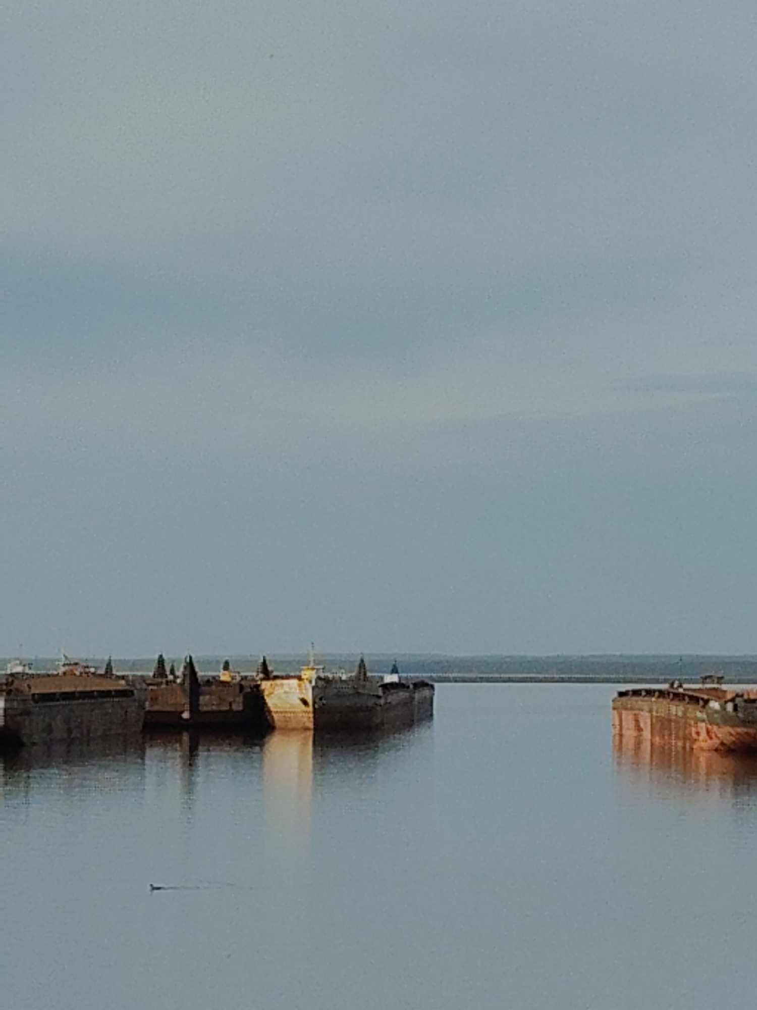 The image shows a body of water with several barges docked or moored. The barges are various colors, including brown, grey, and yellow. Some of the barges have small structures on top. In the background, there is a breakwater or land mass, and the sky is overcast. The barges are sitting still in the water. There is a small bird swimming in the water. Location: Unknown, Unknown.