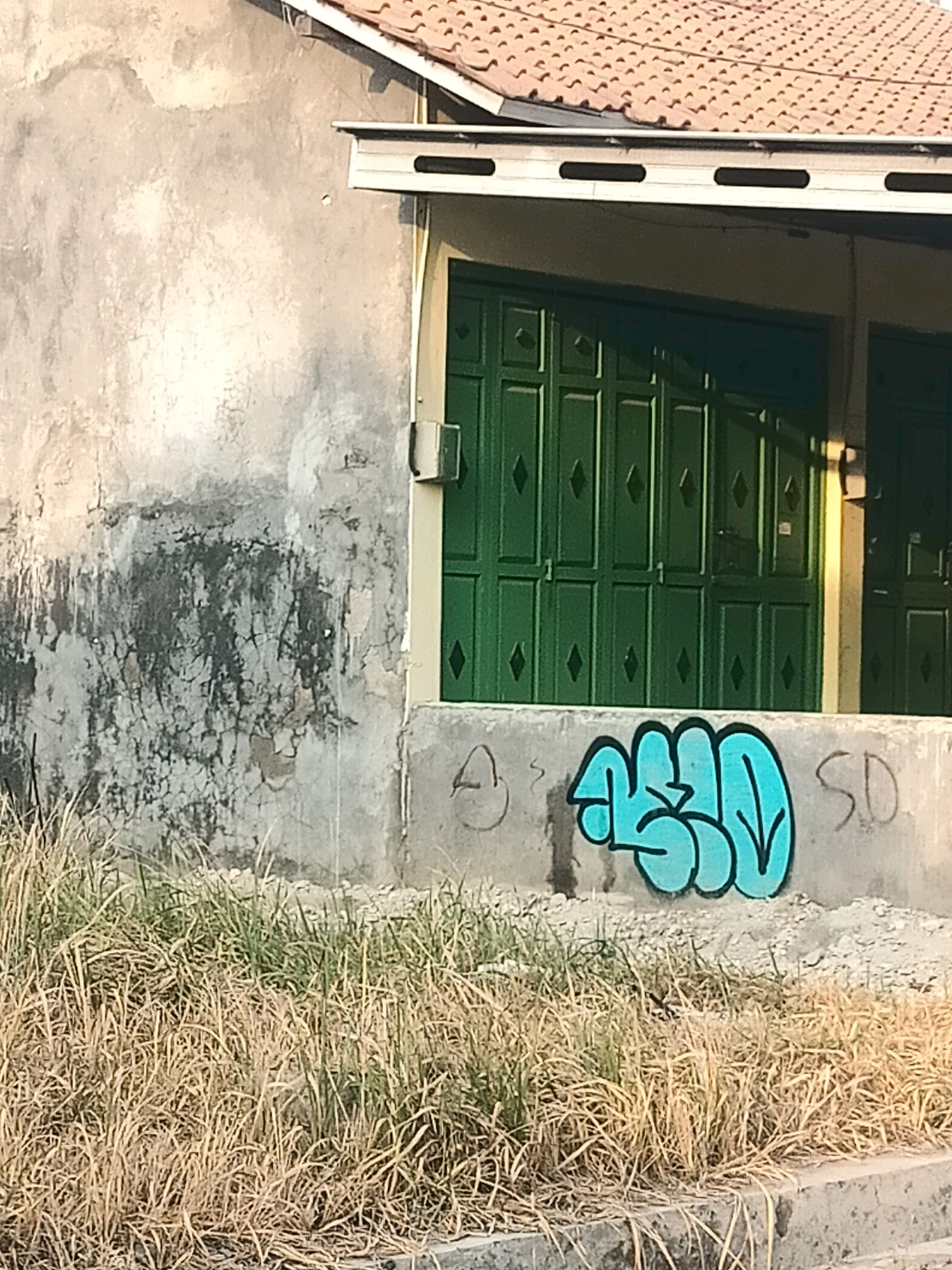 The image shows a section of a building with a tiled roof. The wall of the building is weathered and appears to be made of concrete or stucco, with some patches of dark discoloration and cracks. To the right, there is a green metal garage door with a diamond pattern. In front of the garage door, there is a concrete ledge or wall. On this ledge, there is graffiti. A large, light blue tag with a bubble-like font is prominent. To the right of this tag, the letters "SD" are also visible in gray. In the foreground, there is dry, tall grass and some evidence of a curb or edge made of concrete. The lighting suggests it is daytime, possibly late afternoon, given the shadows. There are no people visible in the image. The location is Bedug, Indonesia.