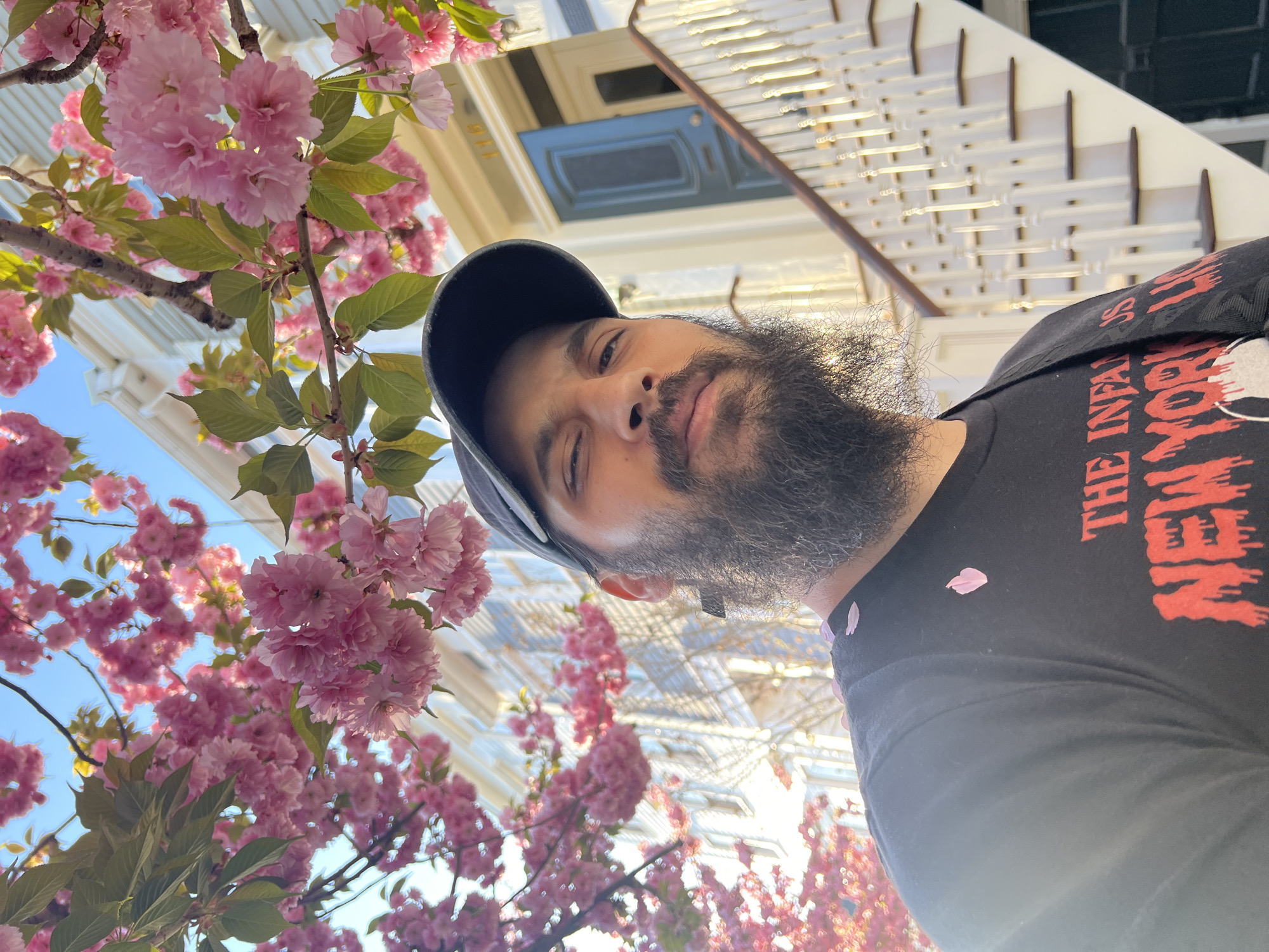 A selfie captures a person with a dark beard, wearing a black baseball cap and a black t-shirt with red lettering, standing beneath blossoming pink cherry trees. Petals are scattered on the person's shirt. In the background, a house with a blue door and white porch railing is visible. The location is the City of Newburgh, United States of America.