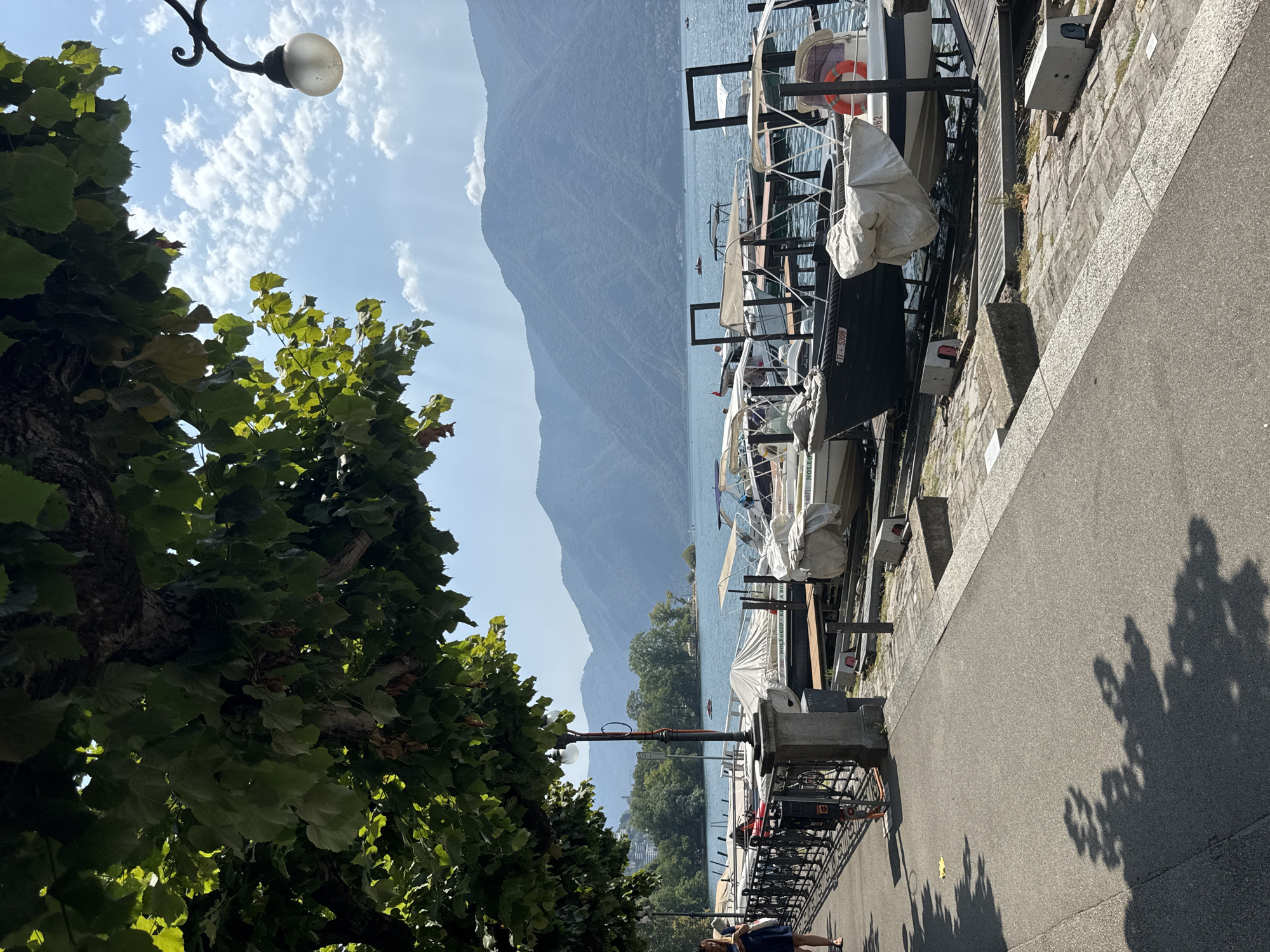 This is a realistic, eye-level, medium-wide shot of the lakeside promenade in Lugano, Switzerland, on a sunny day with scattered clouds. The scene captures a section of the paved walkway alongside a body of water, likely Lake Lugano, with a backdrop of lush green trees and distant mountains.
In the foreground, the paved walkway is partially shaded by the leaves and branches of a large, mature tree that overhangs from the left side of the frame. Tree shadows are cast across the walkway. A black metal railing runs along the edge of the promenade, separating it from the water.
Beyond the railing, several boats are moored at docks. Some of the boats are covered with white tarps, while others are partially visible. One dark-colored boat has a license plate that reads "TI + 5308". A red life preserver is visible on the back of one of the boats.
In the middle ground, the clear blue water of the lake stretches out, with a few small boats and what appears to be a jet ski in the distance. The far shore of the lake is lined with trees, and beyond that, a range of gentle, verdant mountains rises towards the sky. The sky is a vibrant blue, with fluffy white clouds. A single lamppost with an ornate black metal base and a frosted glass lamp is visible on the promenade, to the right of the tree.
On the far left of the frame, a person wearing a dark blue dress is walking away from the camera on the promenade. The overall impression is one of a peaceful, scenic waterside environment on a pleasant day.
