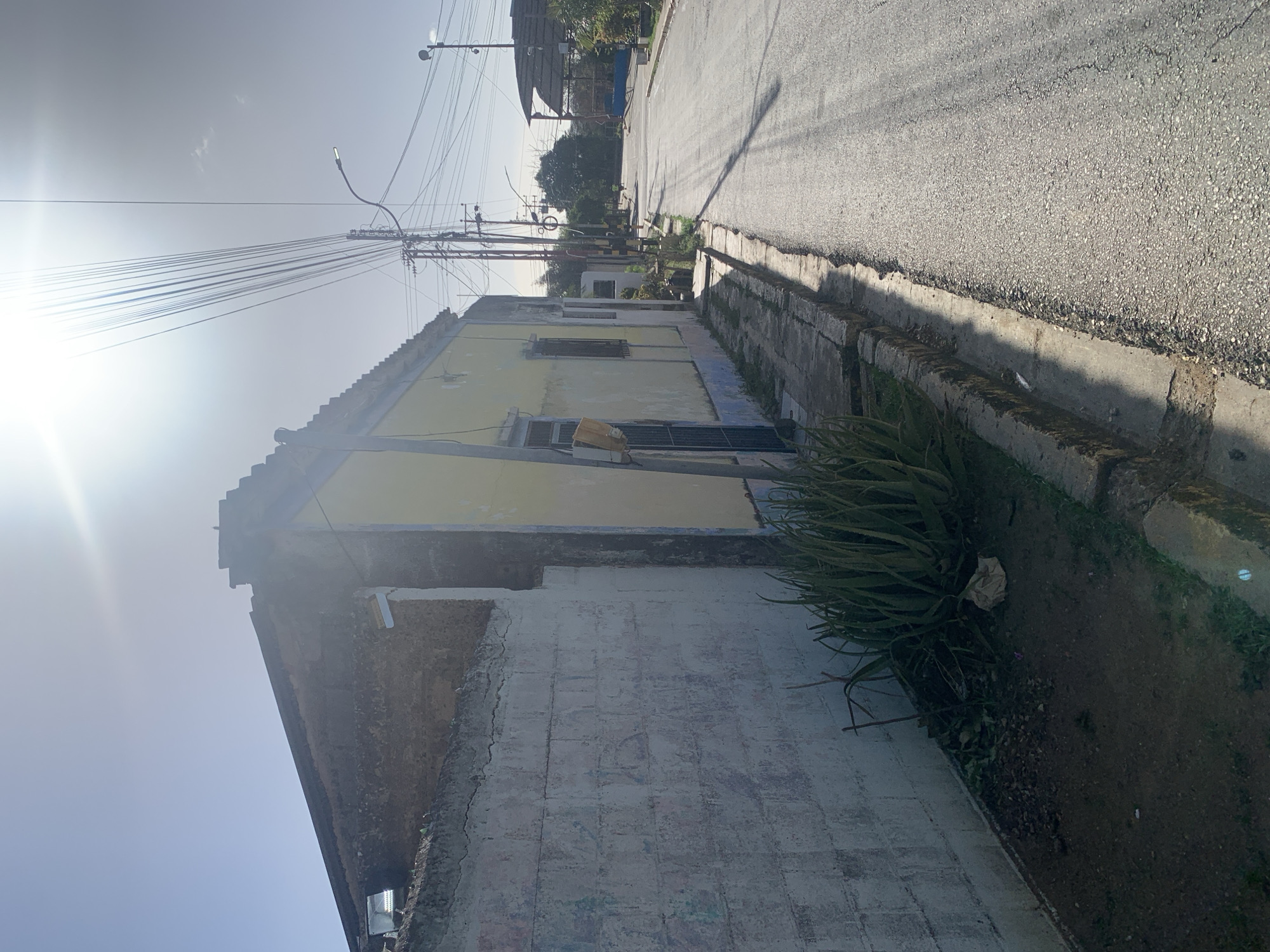 The image captures a sunlit street scene in Santa Ana, Venezuela. A weathered, pale yellow building with a partially exposed roof and cracked plaster lines the left side of the frame, adjacent to a rough, white-washed cinder block wall with visible graffiti. In front of the wall, a patch of dark soil holds a cluster of aloe vera plants. A paved road stretches into the distance on the right, bordered by a concrete curb and sidewalk. Overhead, a tangle of electrical wires crisscrosses the sky, supported by utility poles, one of which features a modern street lamp. The sun is bright, casting long shadows across the road and creating lens flare in the upper portion of the image. The overall impression is one of a residential street in a tropical climate, with signs of age and wear on the structures.