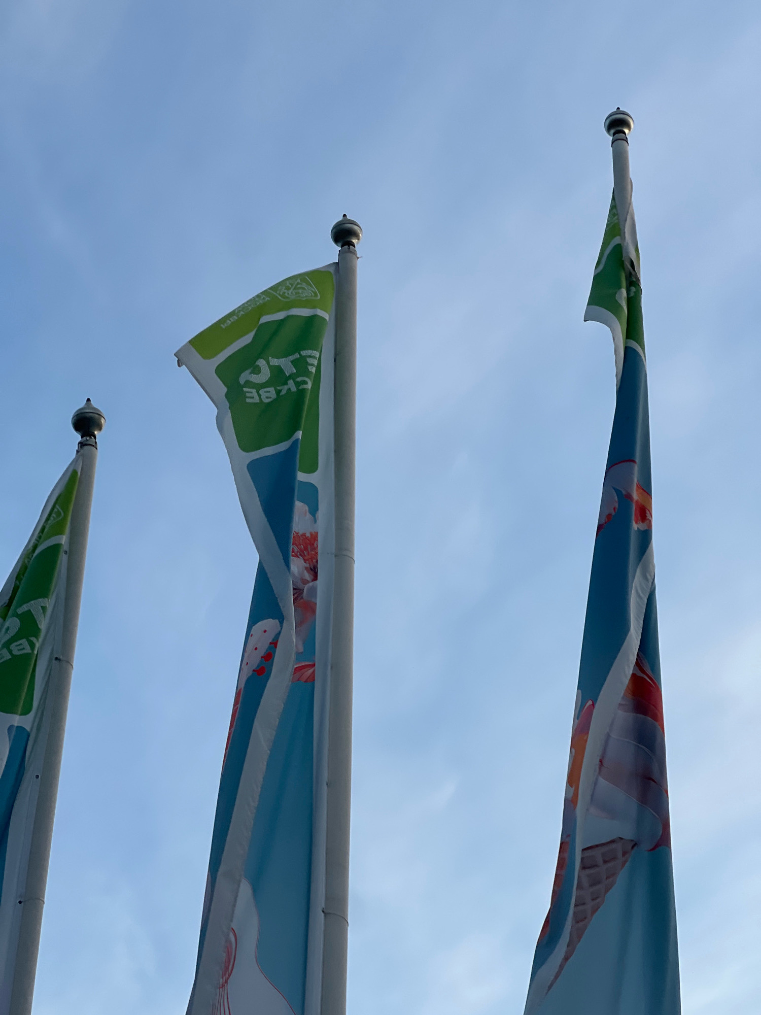 The image shows three flags on flagpoles against a blue sky. The flag on the left is mostly green with white text, and partially visible. The middle flag is also green and white with text on the upper portion, and a blue section with an image of an orange and white koi fish. The right flag is predominantly blue with images of an ice cream cone and possibly other decorative elements. The flags are positioned at varying heights and angles, suggesting they are blowing in the wind. The overall scene is outdoors, under a cloudy sky. There are no people visible in the image. The flags appear to be decorative or promotional. The location in Moscow, Russia is not indicated by any visible landmarks or text.