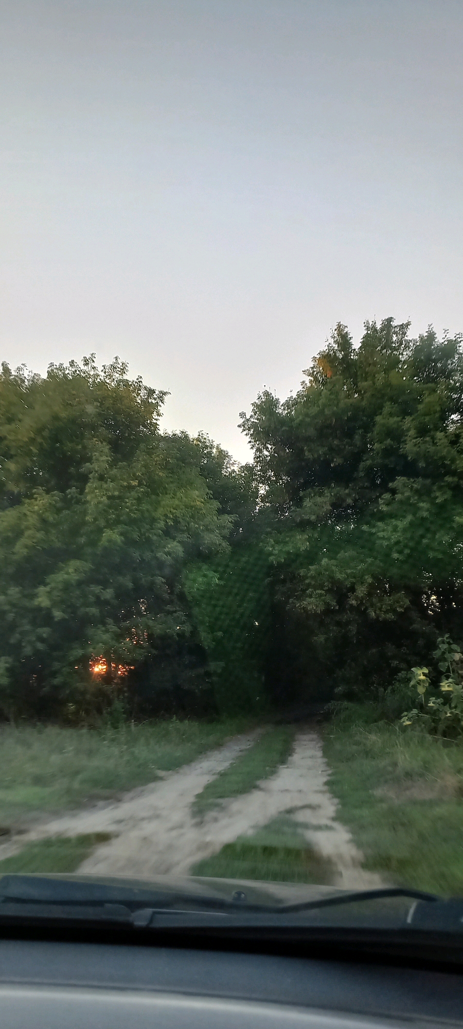 The image shows a view from a car, looking out at a dirt road leading into a dense wooded area. The sky is a pale, overcast gray. The trees are a deep green, and sunlight is visible peeking through the foliage on the left side of the image. The road appears to be a two-track path with grass growing in the middle. The lower portion of the image shows the car's dashboard and windshield wiper. The location is identified as being in the city of Klyntsi, Ukraine.