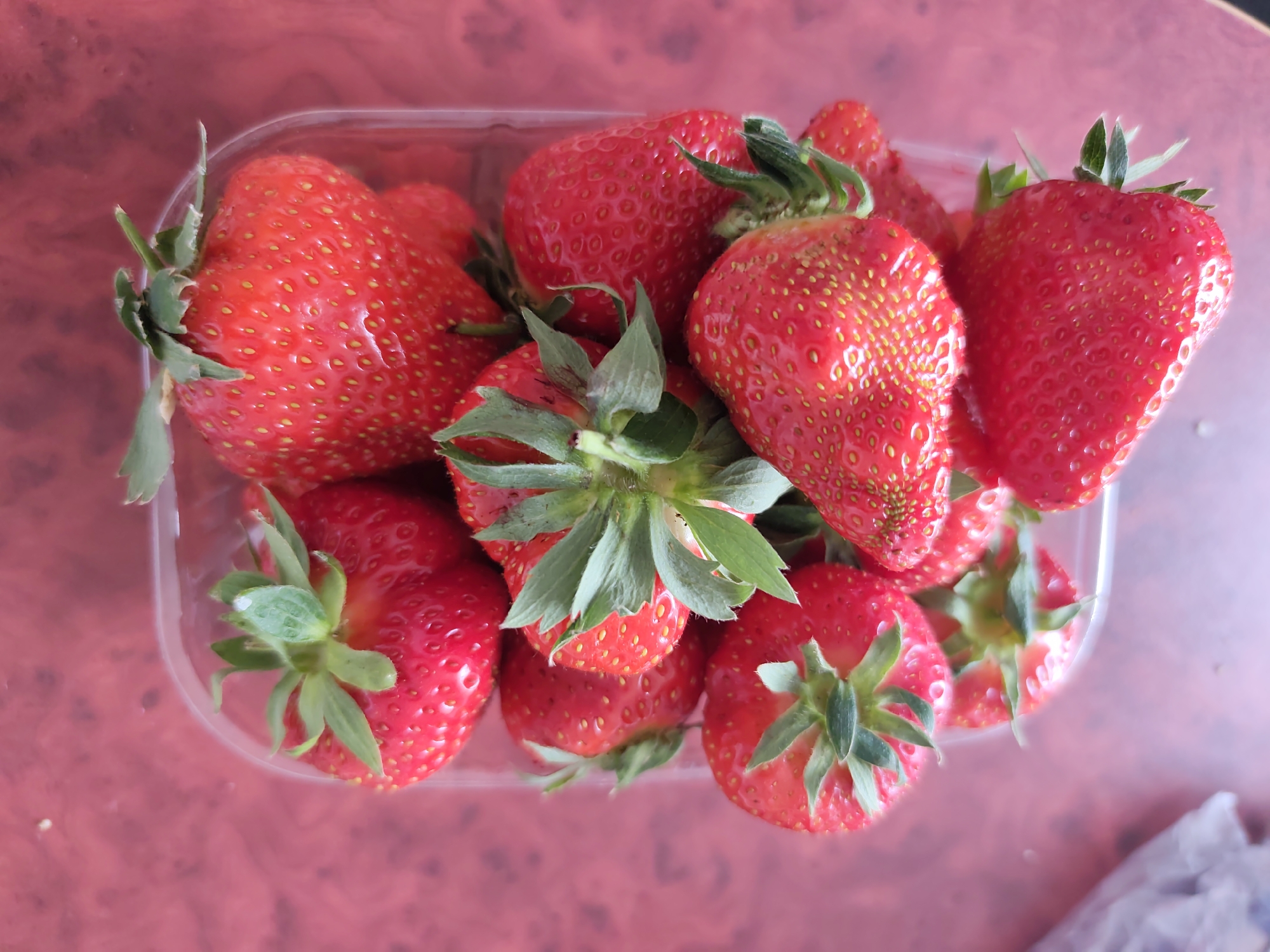 A high-angle, close-up shot shows a clear plastic container filled with fresh strawberries. The berries are a vibrant red color with small yellow seeds dotting their surfaces. Green leafy stems are attached to each strawberry. The container sits on a reddish-brown surface. The image appears to be taken indoors in Chaikovsky, Russia, based on available metadata.
