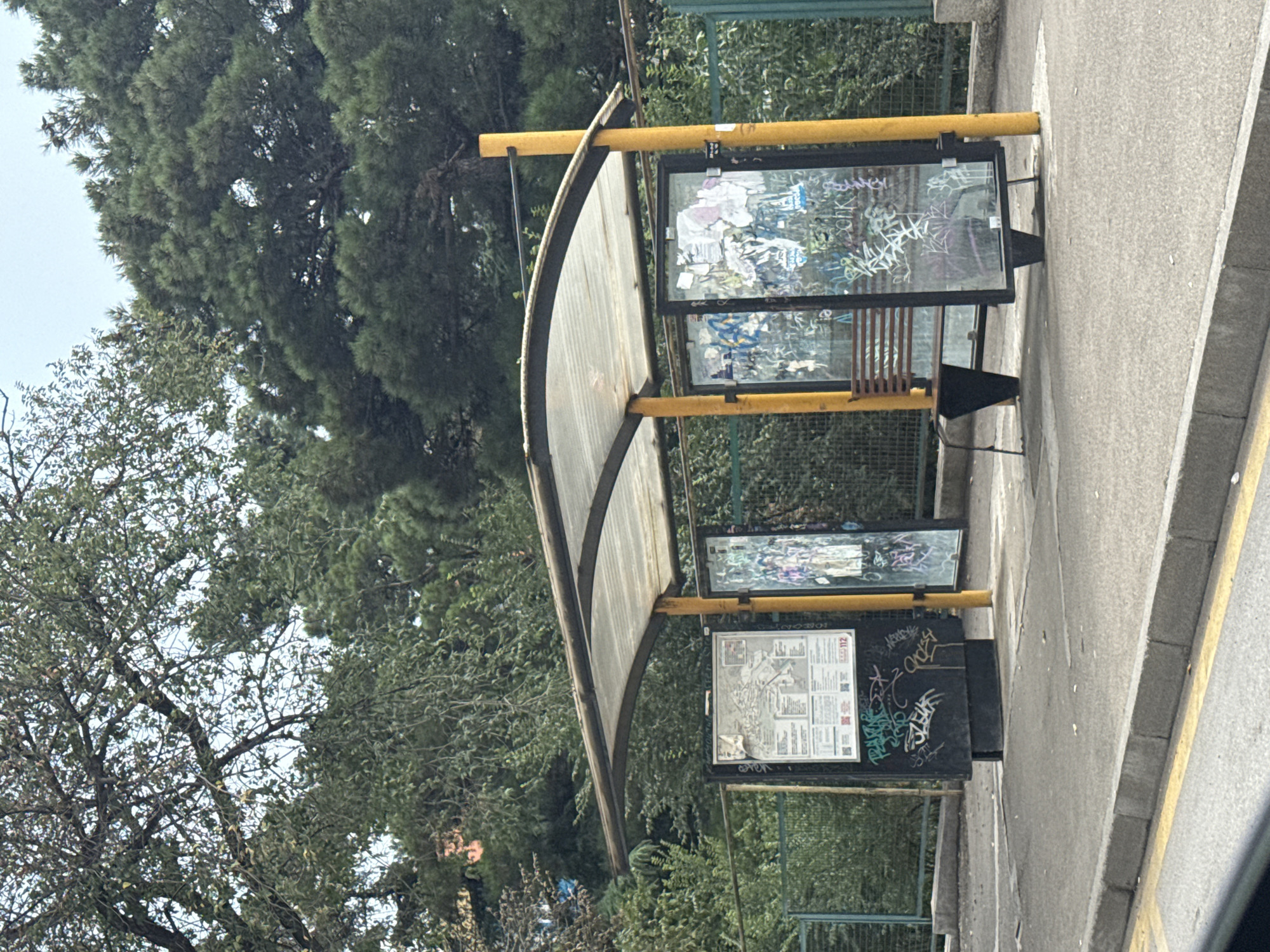 The image depicts a bus stop shelter with a transparent corrugated plastic roof supported by yellow metal poles. The shelter has glass panels on the sides, which are covered with graffiti. There is a wooden bench inside the shelter. To the left of the shelter, a black board displays a map and various notices, also covered in graffiti. The bus stop is situated on a paved street with a yellow line marking the edge of the sidewalk. Behind the bus stop, a green metal fence separates it from a dense area of trees and foliage. In the background, more trees, including pine trees, are visible. The lighting suggests it is daytime. The graffiti on the glass panels and the board includes various tags and scribbles in different colors. There are no people visible in the image. The scene appears to be in a somewhat urban, but green, environment.