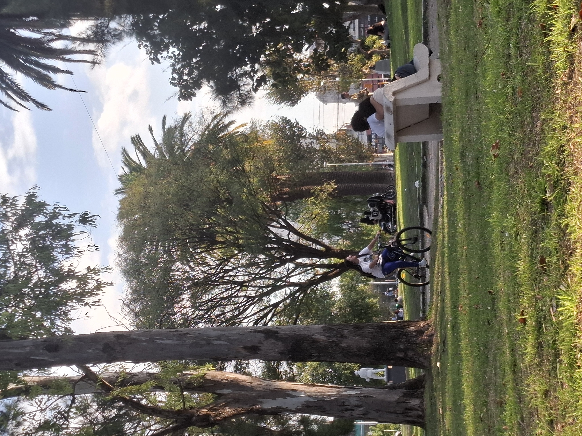 The scene is a park located in Villa Domínico, Argentina. A large tree dominates the foreground on the left. Grass covers the right side. A woman sits on a bicycle. A concrete bench is situated further into the scene, with two people on it. A row of parked motorcycles is behind them. Other people are in the background. The sky is visible through the trees.