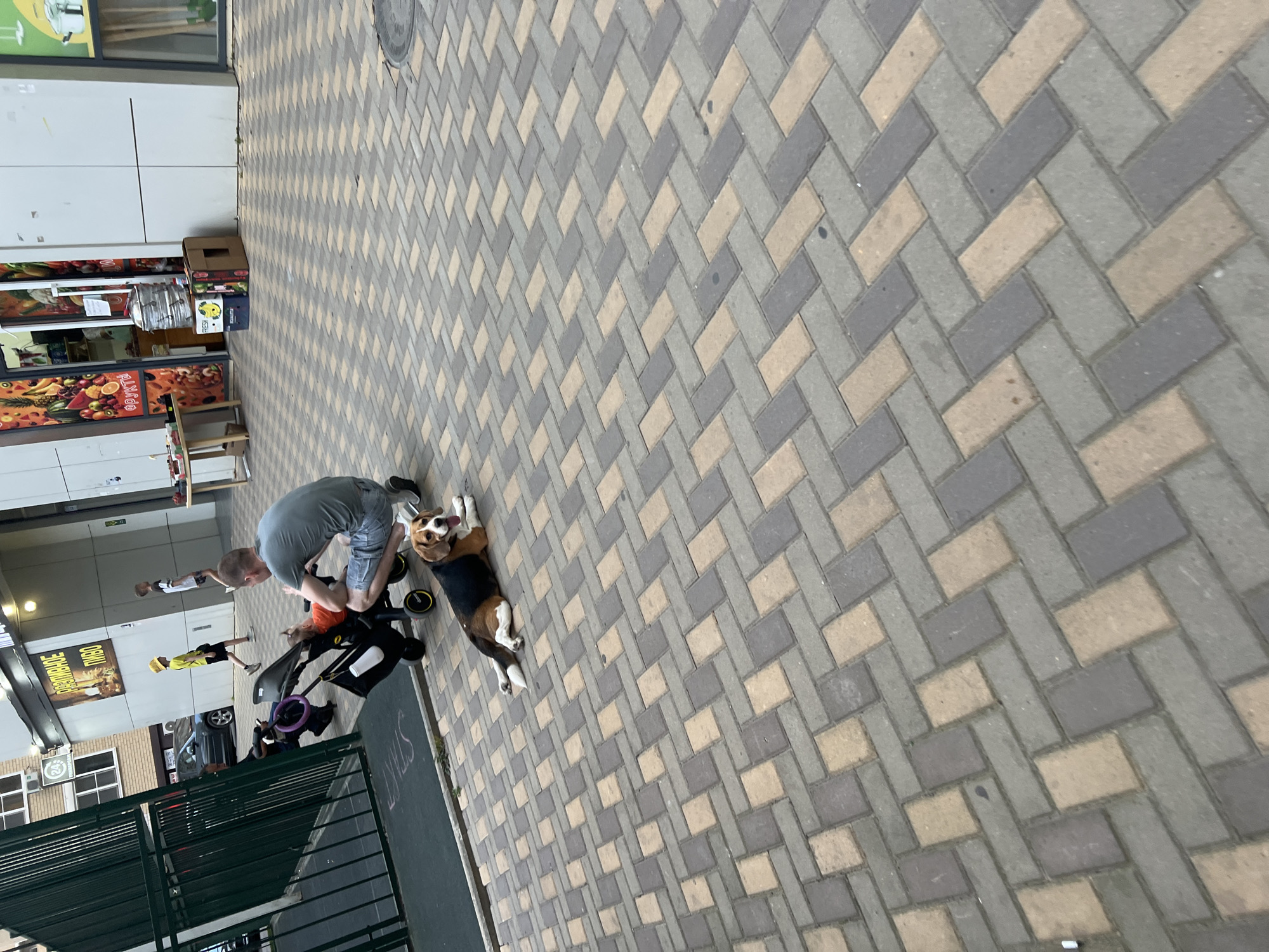 In Belozernyi, Russia, a beagle lies on a herringbone-patterned brick walkway in front of a stroller and a man squatting beside it. The man, wearing a gray t-shirt and denim shorts, is attending to the stroller. A toddler in an orange outfit is seated in the stroller. In the background, other people are visible: a child in a yellow hat and shorts walks away, and another child in a striped shirt and shorts walks towards the right. Buildings line the background, including one with a sign that reads "разливное пиво" (draft beer) and another with a fruit market display. The environment appears to be an urban outdoor space, possibly a pedestrian area or plaza.