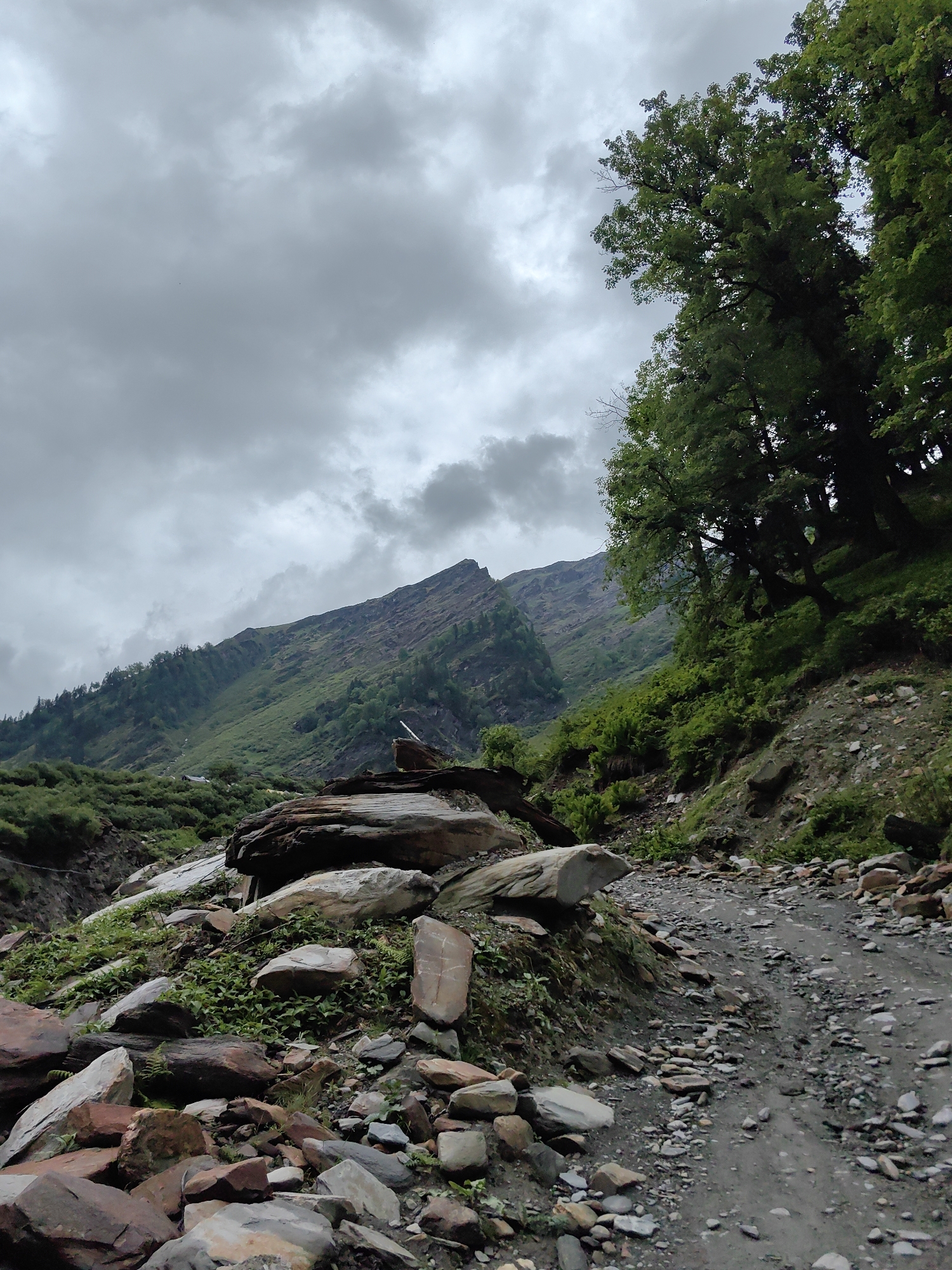 The image depicts a rocky, unpaved mountain road winding through a lush green valley. The foreground is dominated by a jumble of large and small rocks, some covered in vibrant green vegetation. To the left, dense greenery slopes upwards, meeting the base of a steep, rocky mountain face. This mountain is sparsely covered with trees and appears rugged and weathered.
On the right side of the frame, a stand of tall, leafy trees rises steeply from the hillside, their dense foliage contrasting with the paler green of the lower slopes. Beyond the trees, the mountains continue to rise, their peaks partially obscured by dramatic, overcast clouds. The sky is a uniform grey, indicating a cloudy or possibly rainy day.
The road itself is made of compacted dirt and gravel, with numerous stones scattered across its surface, suggesting it is a path rather than a paved road. There are no people or vehicles visible in the scene, creating a sense of solitude and natural wilderness. The overall impression is one of a remote, undeveloped natural landscape. This scene is consistent with the mountainous terrain found in and around Dhundi, India, known for its trekking routes and natural beauty.
