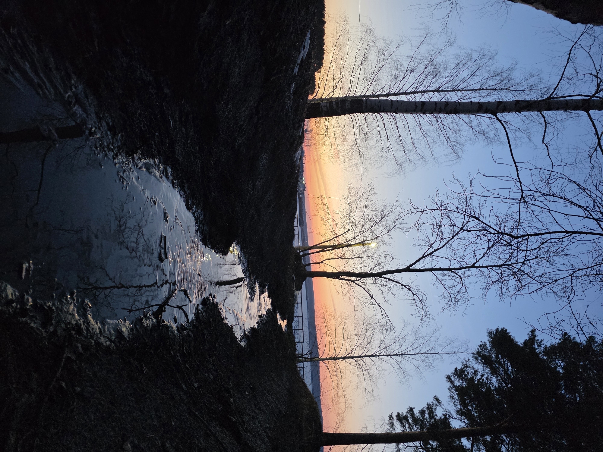 The image captures a twilight or sunset scene near a body of water, potentially the Kama River, in or around Chaikovsky, Russia, given the likely location metadata. The sky is striated with hues of orange, pink, and blue near the horizon, transitioning to a deeper blue higher up. Silhouetted trees, predominantly birch with their distinctive white bark, are scattered across the frame, many without leaves, suggesting either late autumn, winter, or early spring.
In the foreground is a narrow, dark, water-filled channel reflecting the sunset colors. The banks of this channel are lined with vegetation and dark earth, appearing damp. The lighting is dim, obscuring details within the dark foreground areas. There is a metal fence in the middle ground, just before the main water body. There are no visible people or clear signs of human activity beyond the constructed fence. The atmosphere is still and quiet.