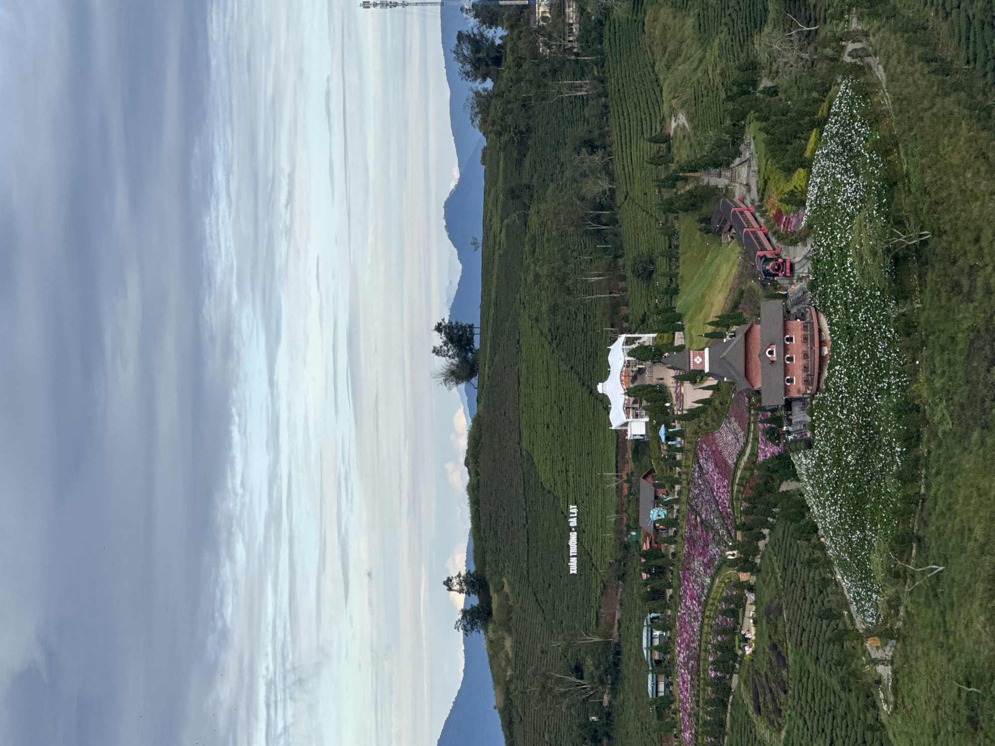 An eye-level, landscape-oriented shot shows a hillside vista, probably in the city of Phát Chi, Vietnam, against a partially cloudy sky. The terrain is densely covered with terraced rows of green tea bushes. The hillside includes a building complex containing red and brown structures. A sign is visible on the hillside that reads "Xuân Trường - Đà Lạt" in white letters. Purple and white flowers are also seen lining paths on the hillside. A small red train is visible. The sky on the left consists of light and dark clouds against a light blue sky. In the distance is a mountain range.